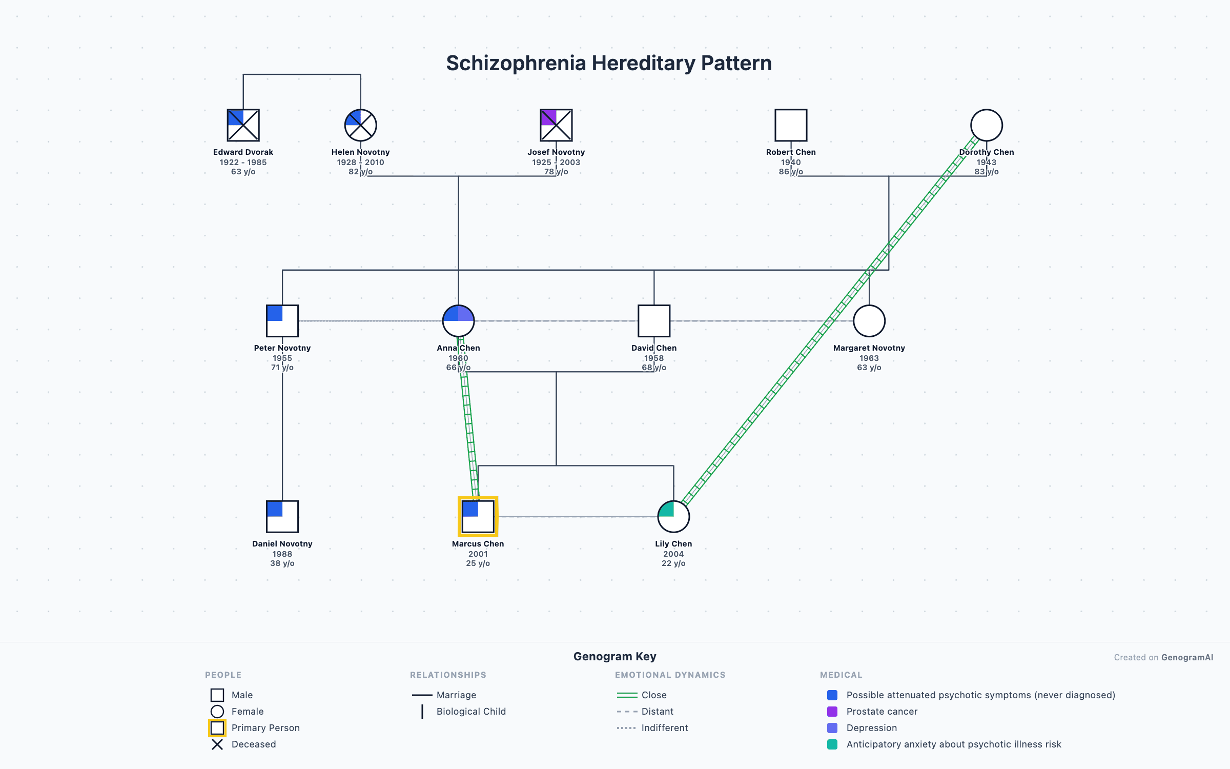 Schizophrenia Hereditary Pattern Schizophrenia Hereditary Pattern - Genogram Example