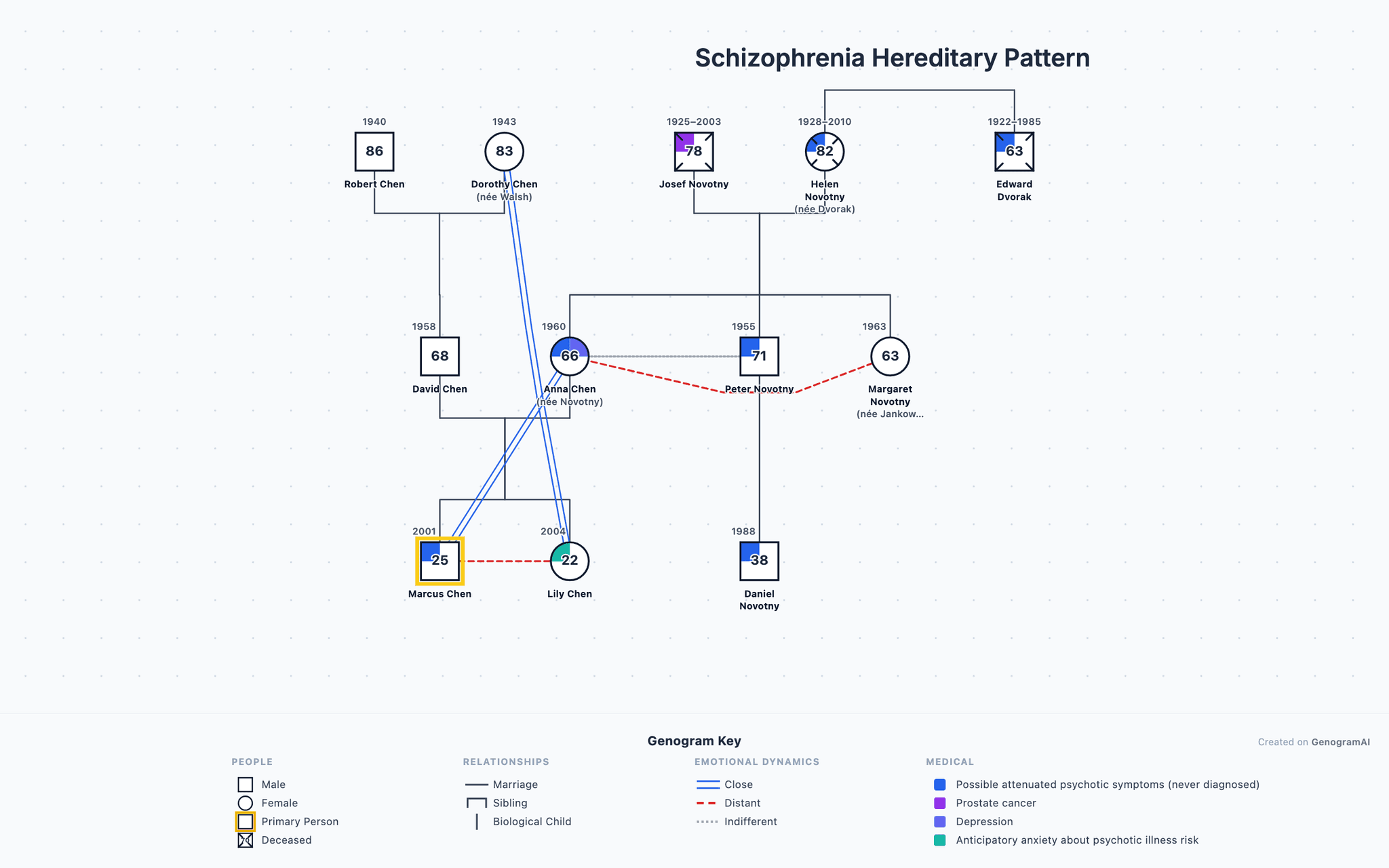 Schizophrenia Hereditary Pattern genogram drawn in standard genogram notation: 3 generations, 12 family members, with close and distant relationship lines