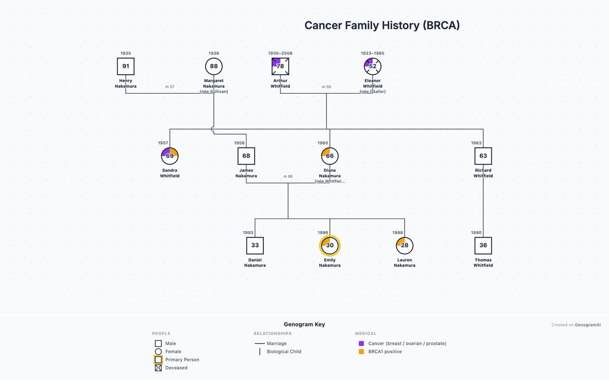 Genogram Colour Coding Medical Genogram: Examples, Templates & Creation Guide | GenogramAI