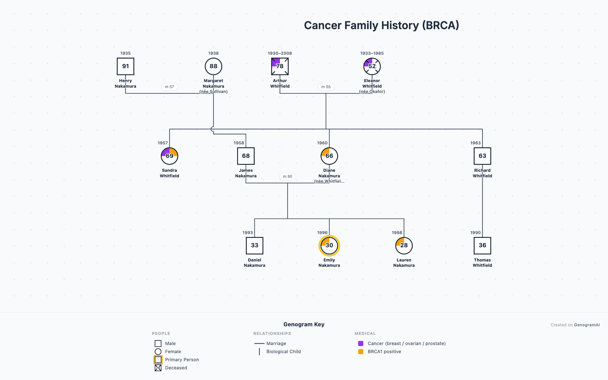 Cancer Family History (BRCA) — Genogram Example Cancer Family History (BRCA) genogram example showing family relationships, created with GenogramAI