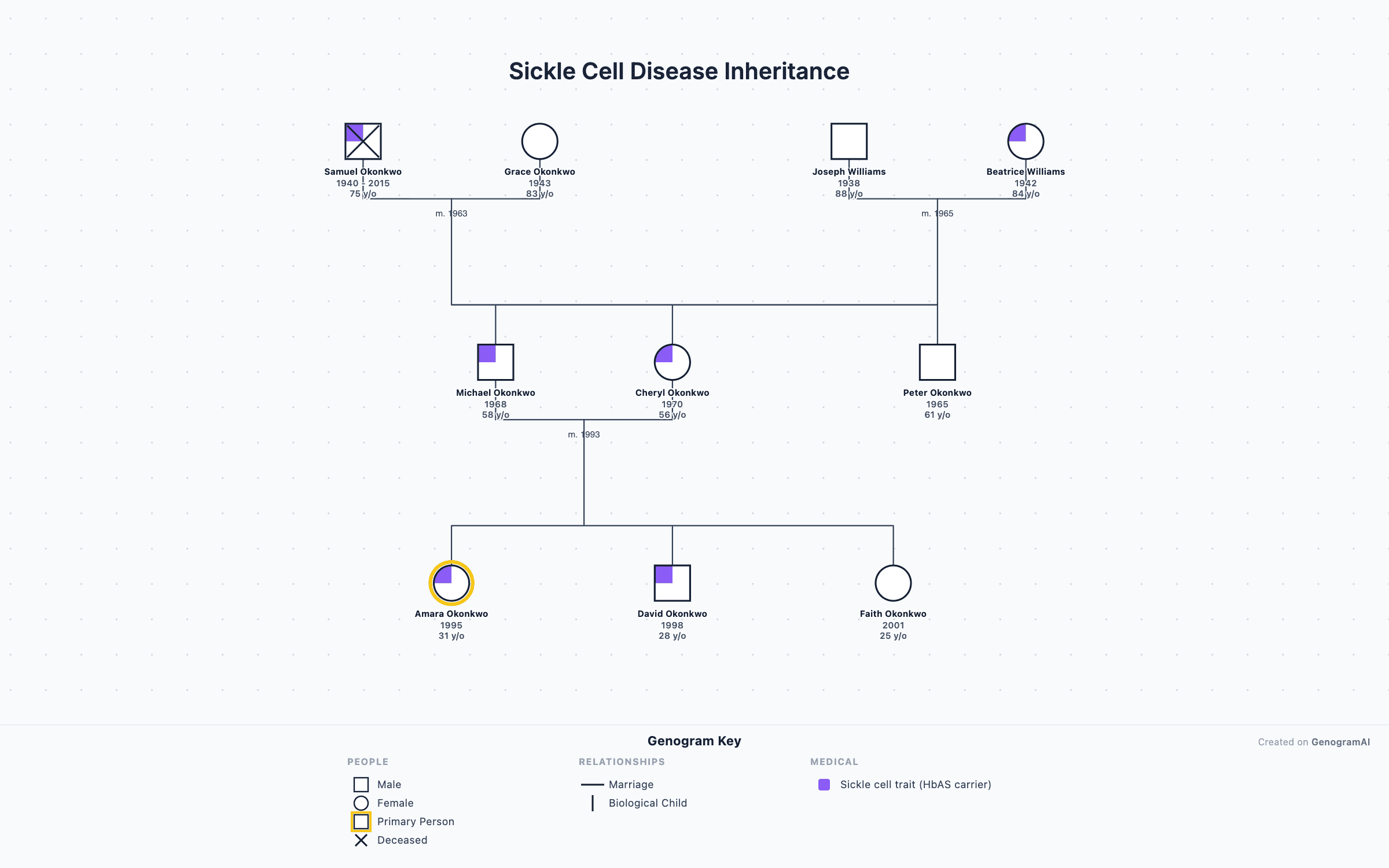 Sickle Cell Disease Inheritance Sickle Cell Disease Inheritance - Genogram Example