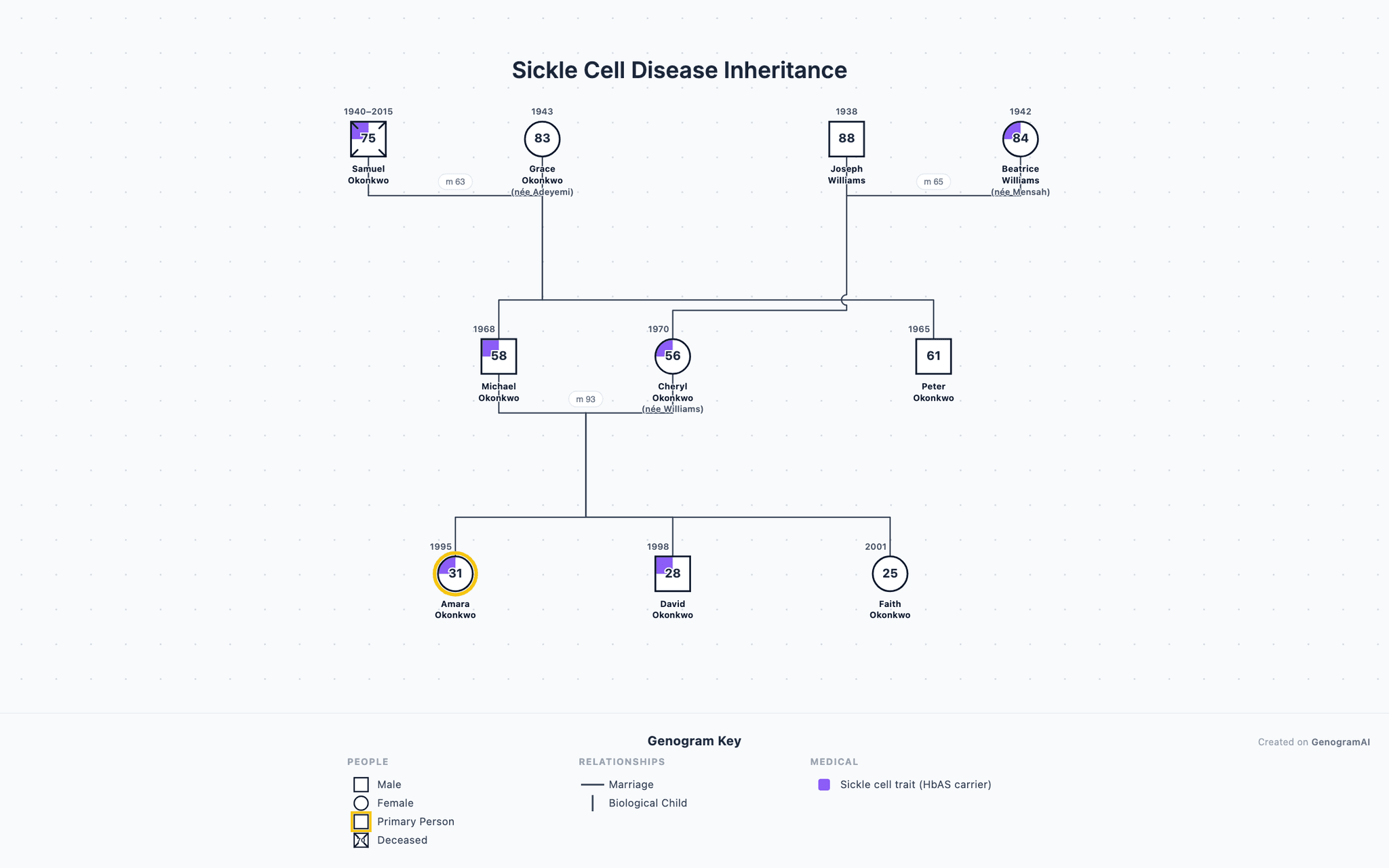 Sickle Cell Disease Inheritance genogram example