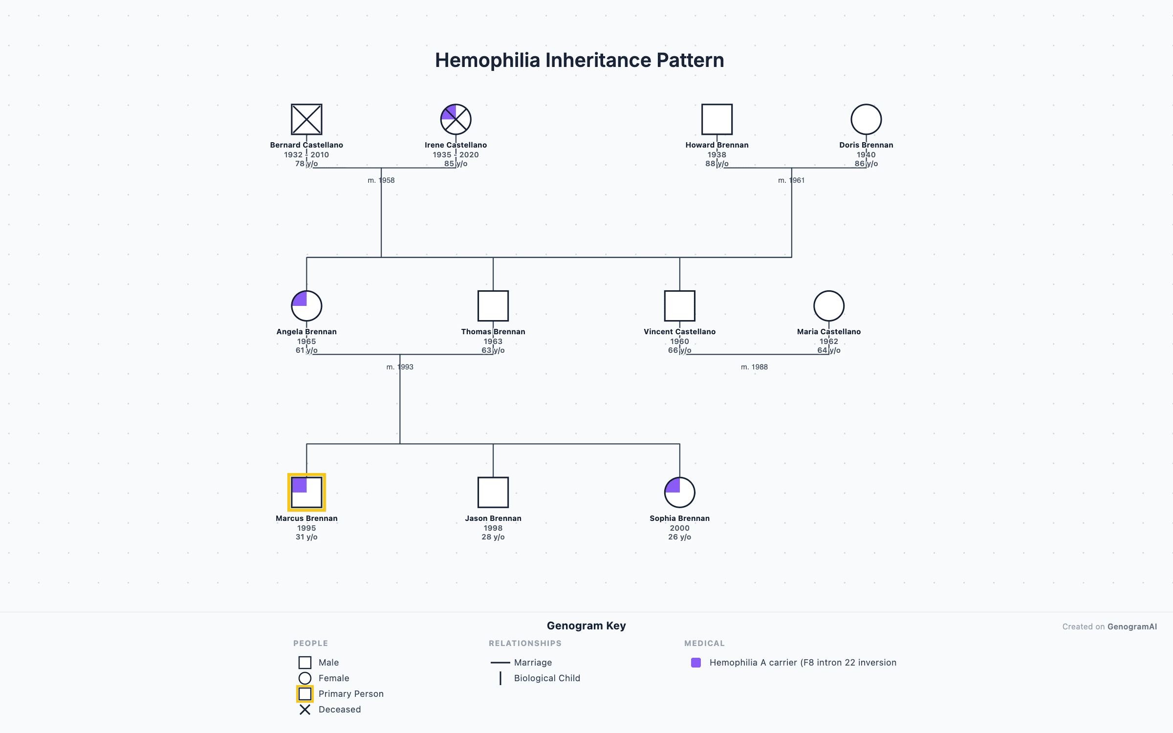 Hemophilia Inheritance Pattern Hemophilia Inheritance Pattern - Genogram Example