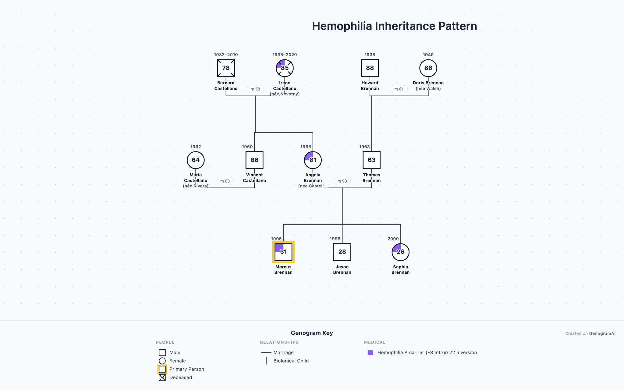 Hemophilia Inheritance Pattern genogram example