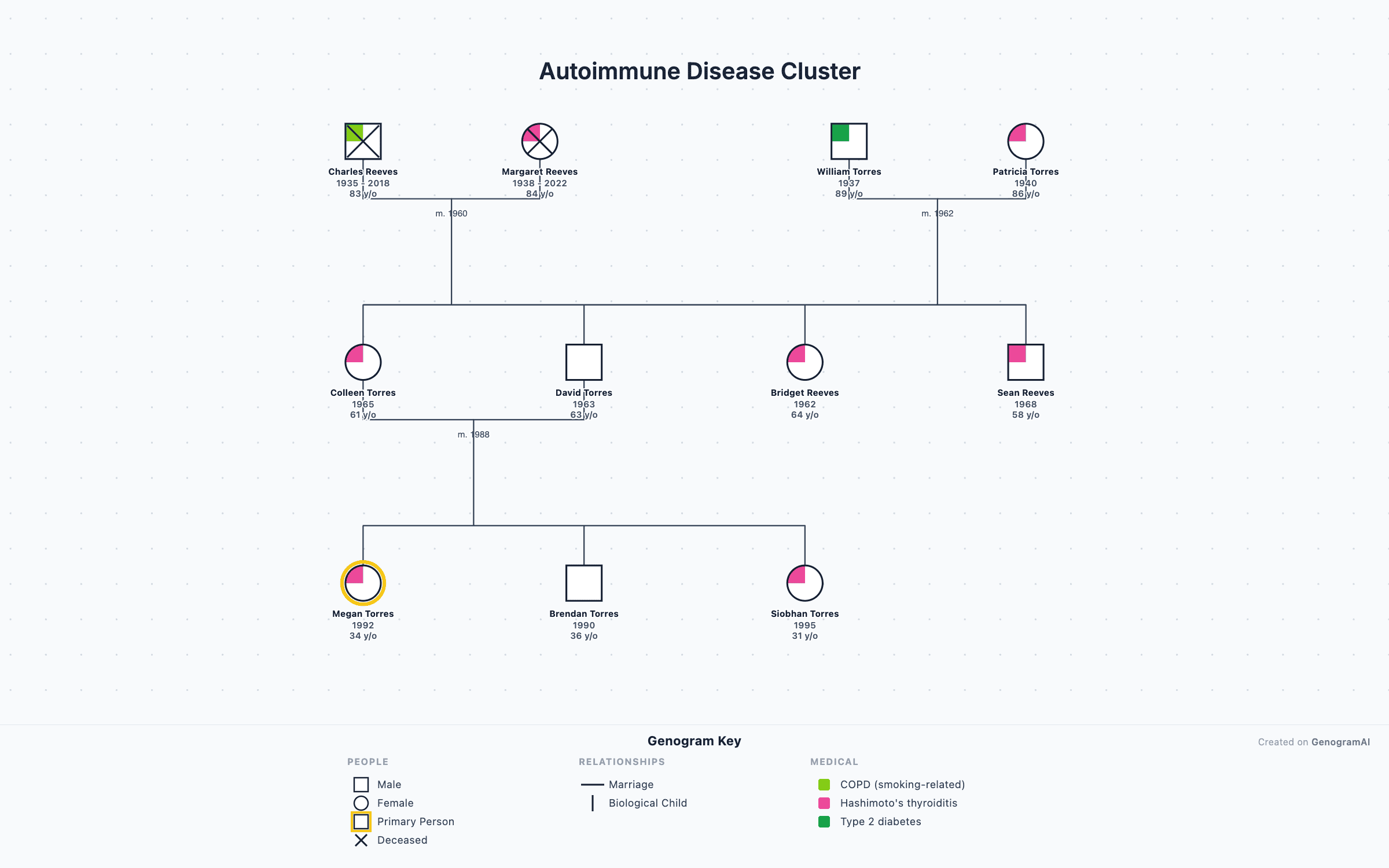 Autoimmune Disease Cluster Autoimmune Disease Cluster - Genogram Example