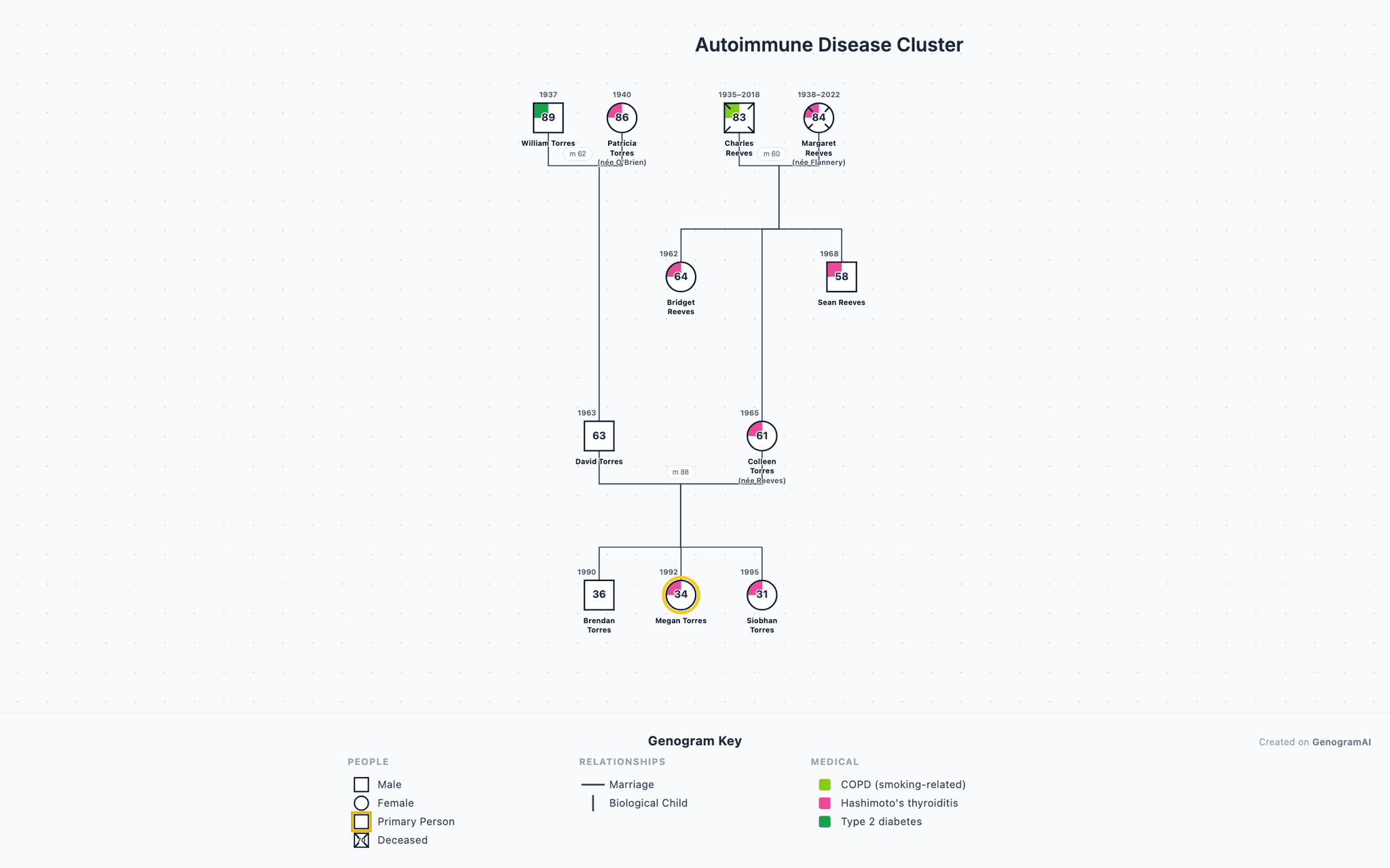 Autoimmune Disease Cluster genogram example