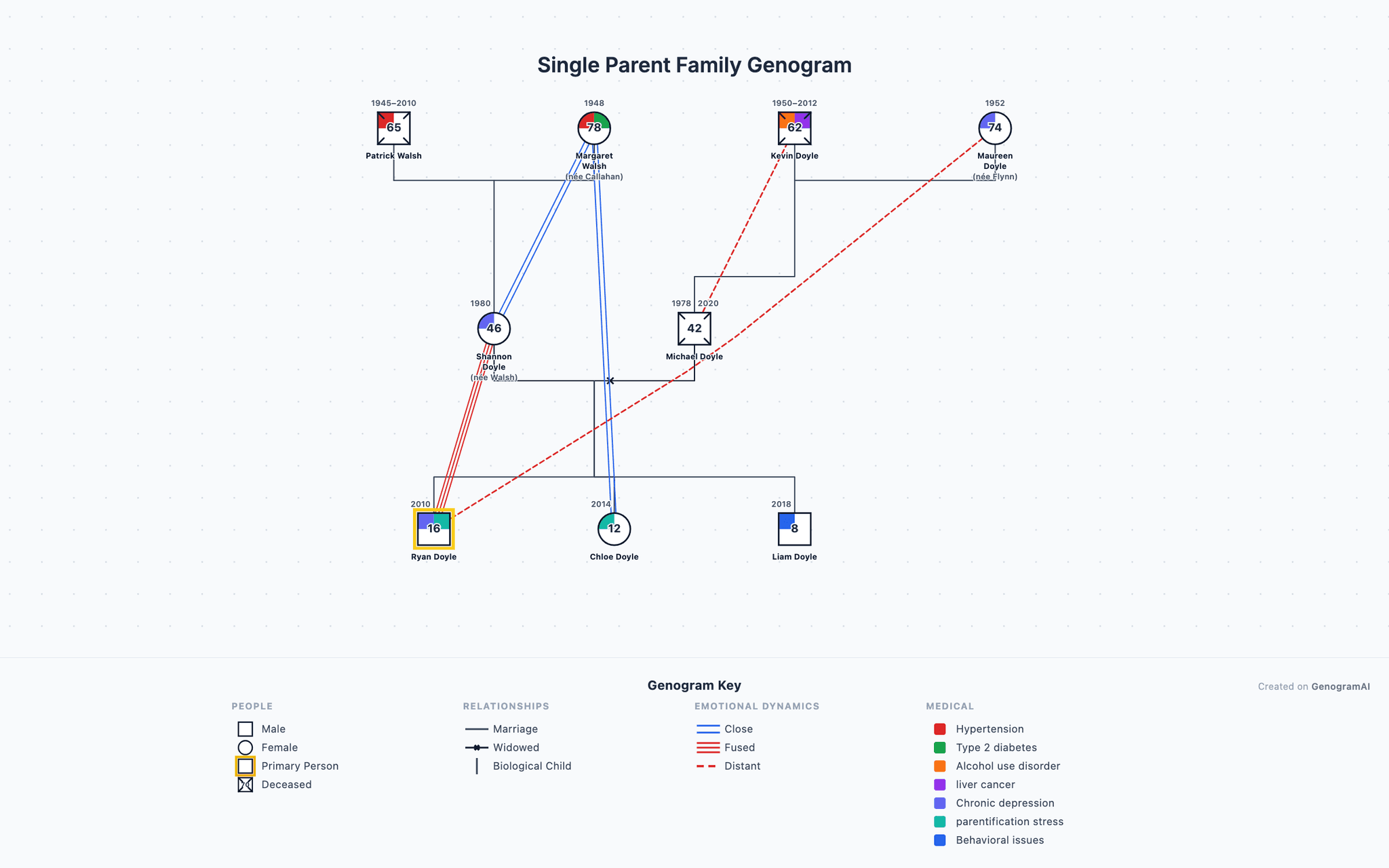 Single Parent Family Genogram example