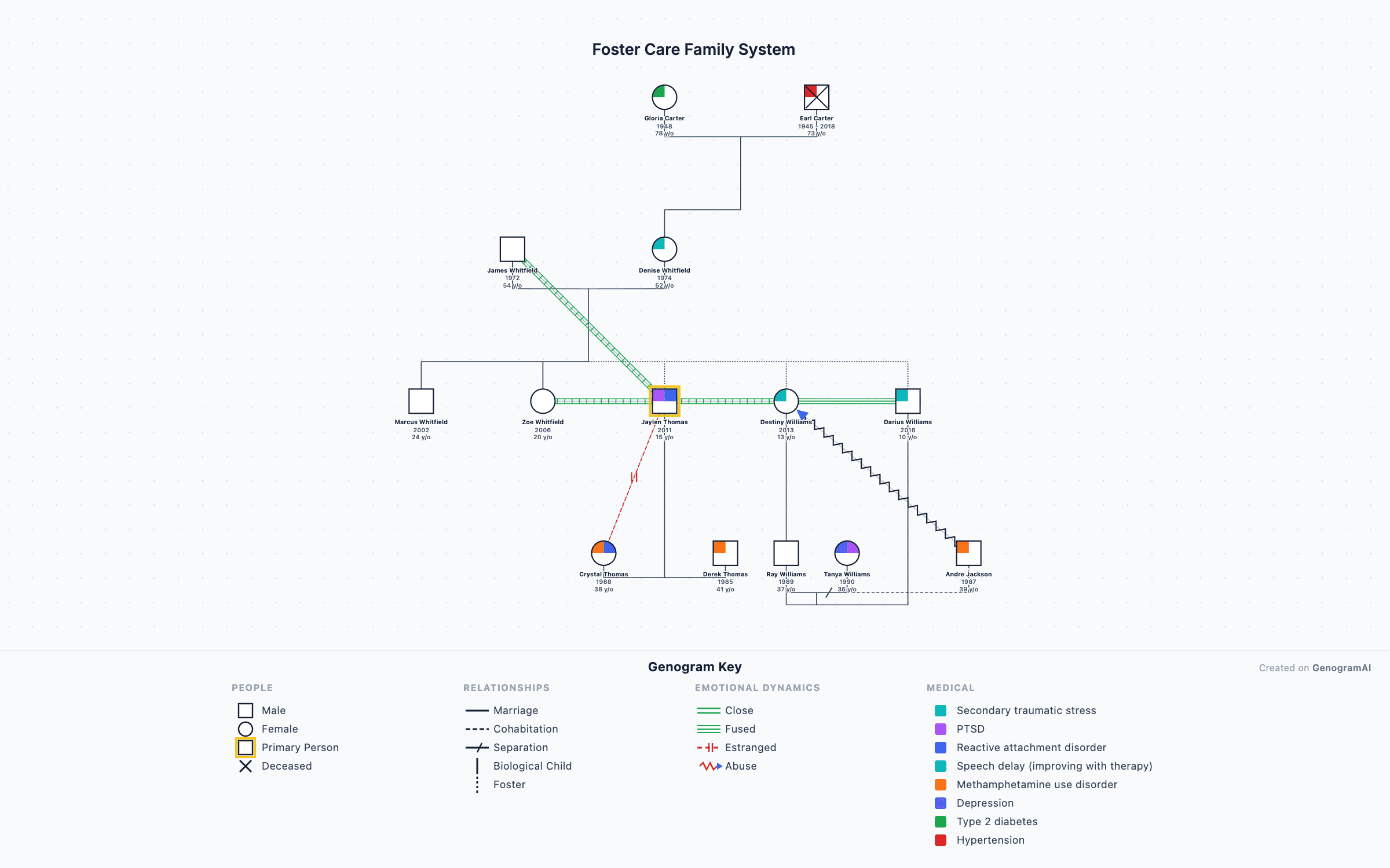 Social work genogram showing foster care family system with complex placement history