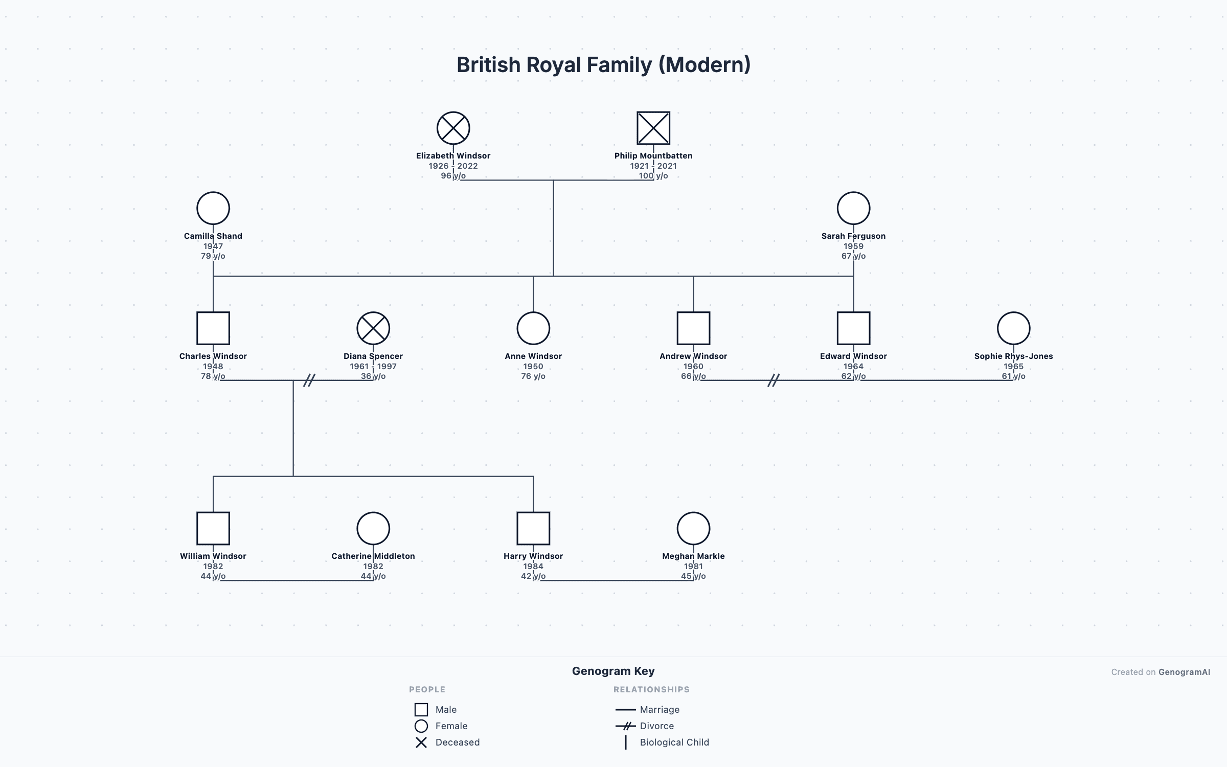 British Royal Family (Modern) — Genogram Example British Royal Family (Modern) genogram example showing family relationships, created with GenogramAI