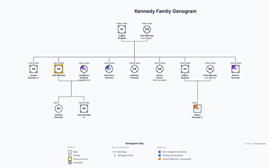 Background For Genogram 3 Generation Genogram: Create Three-Generation Family Maps | GenogramAI