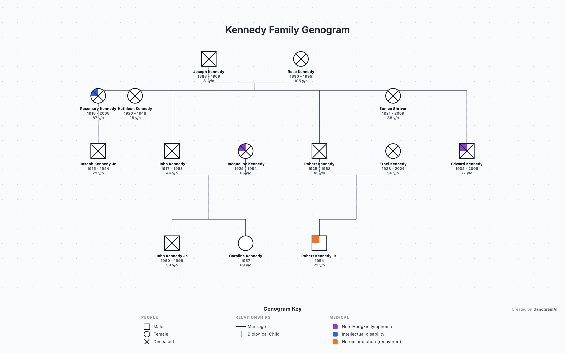 Kennedy Family Genogram — Genogram Example by GenogramAI Kennedy family genogram example showing four generations of the Kennedy political dynasty — educational genogram by GenogramAI