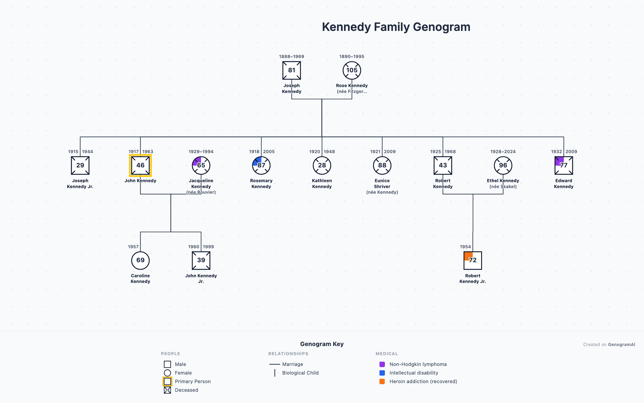 Kennedy Family genogram example