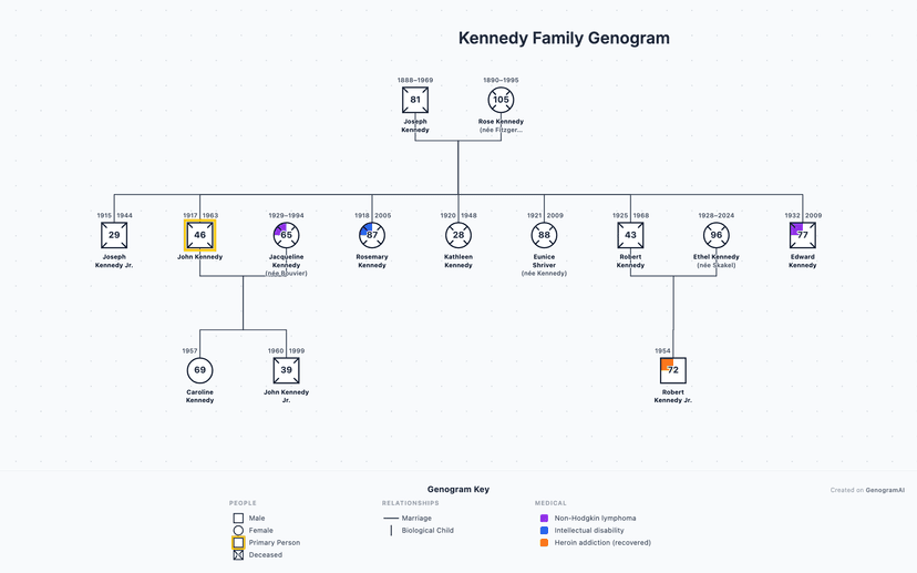 Example Of 2 Generations Genogram 10 Best Genogram Software in 2026 (Free & Paid, Tested) | GenogramAI