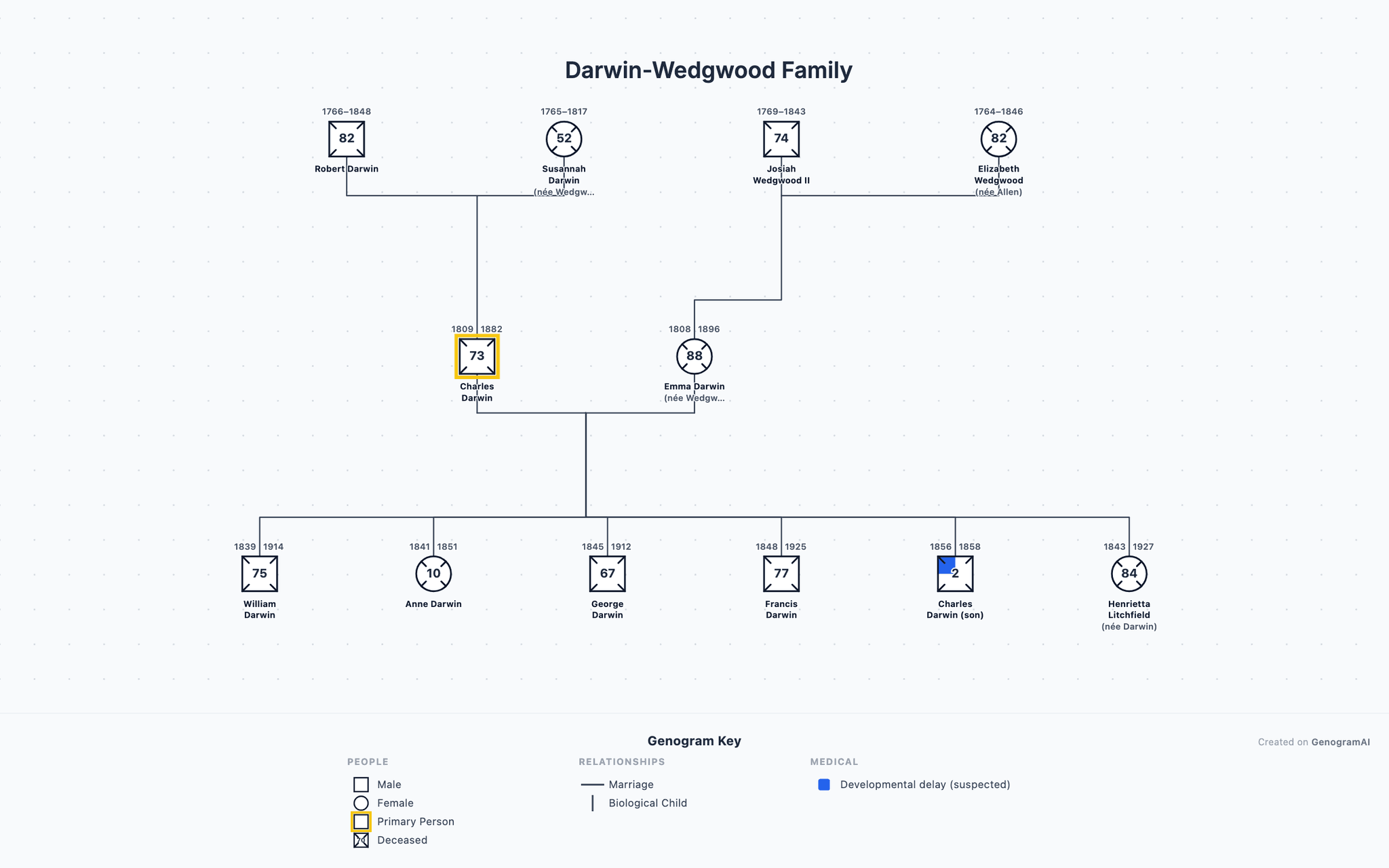 Darwin-Wedgwood Family genogram example