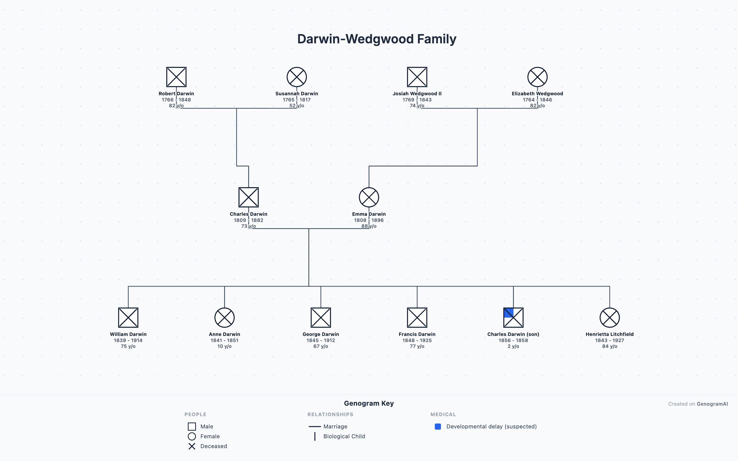 Darwin-Wedgwood Family — Genogram Example Darwin-Wedgwood Family genogram example showing family relationships, created with GenogramAI