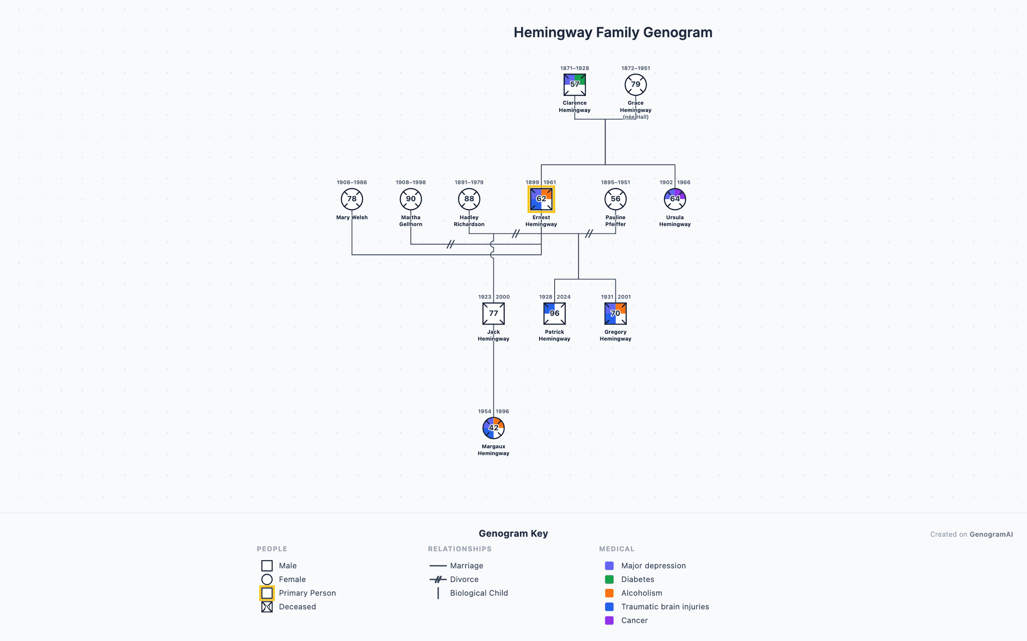 Hemingway Family Genogram example