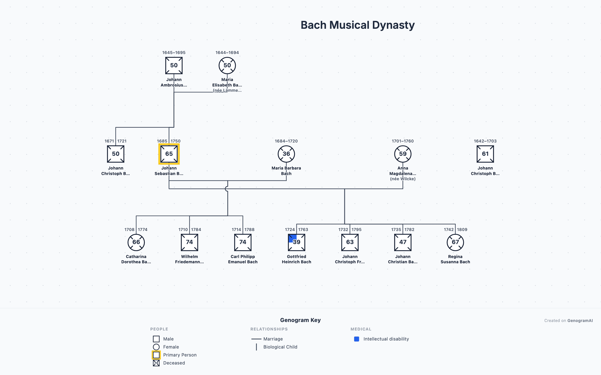 Bach Musical Dynasty genogram drawn in standard genogram notation: 3 generations, 14 family members