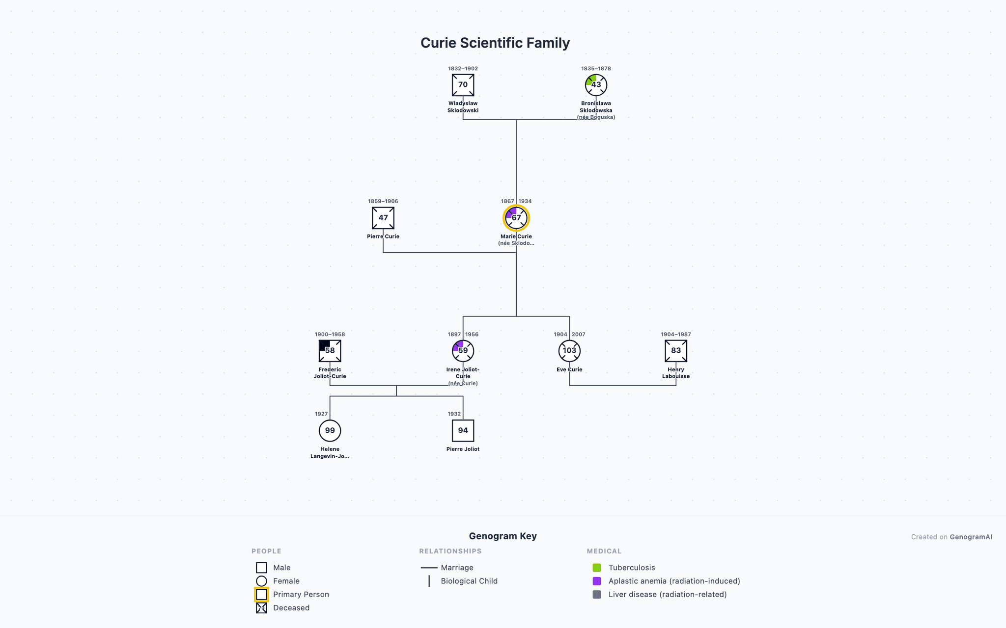 Curie Scientific Family genogram example