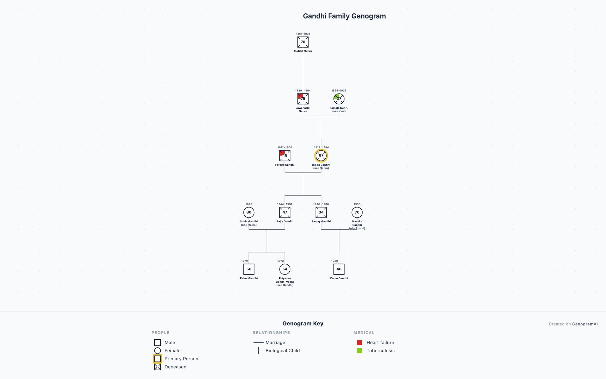 Gandhi Family Genogram example