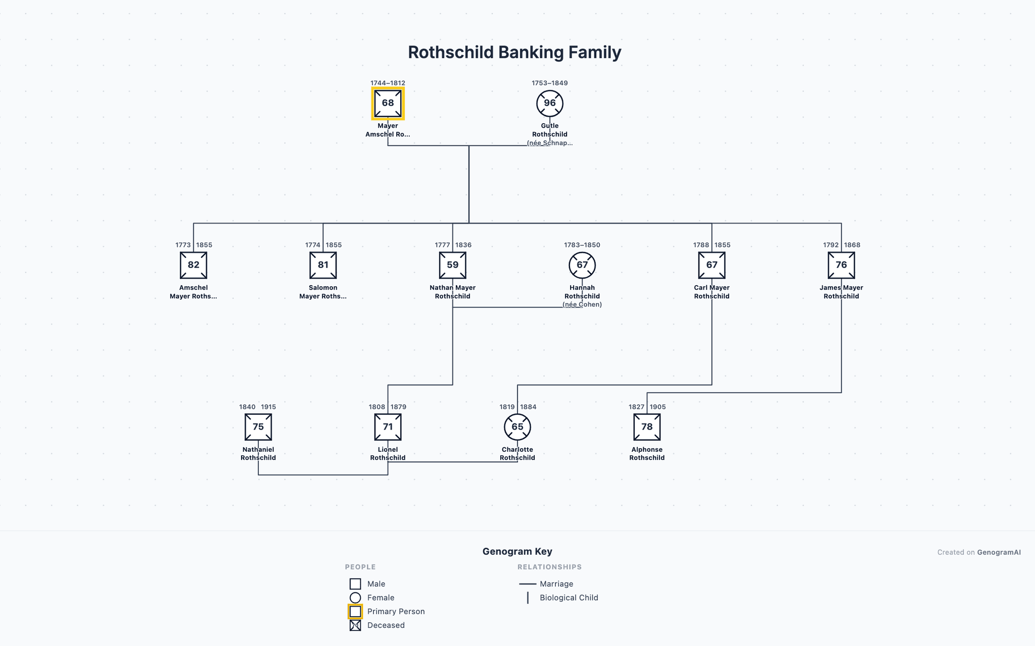 Rothschild Banking Family genogram example