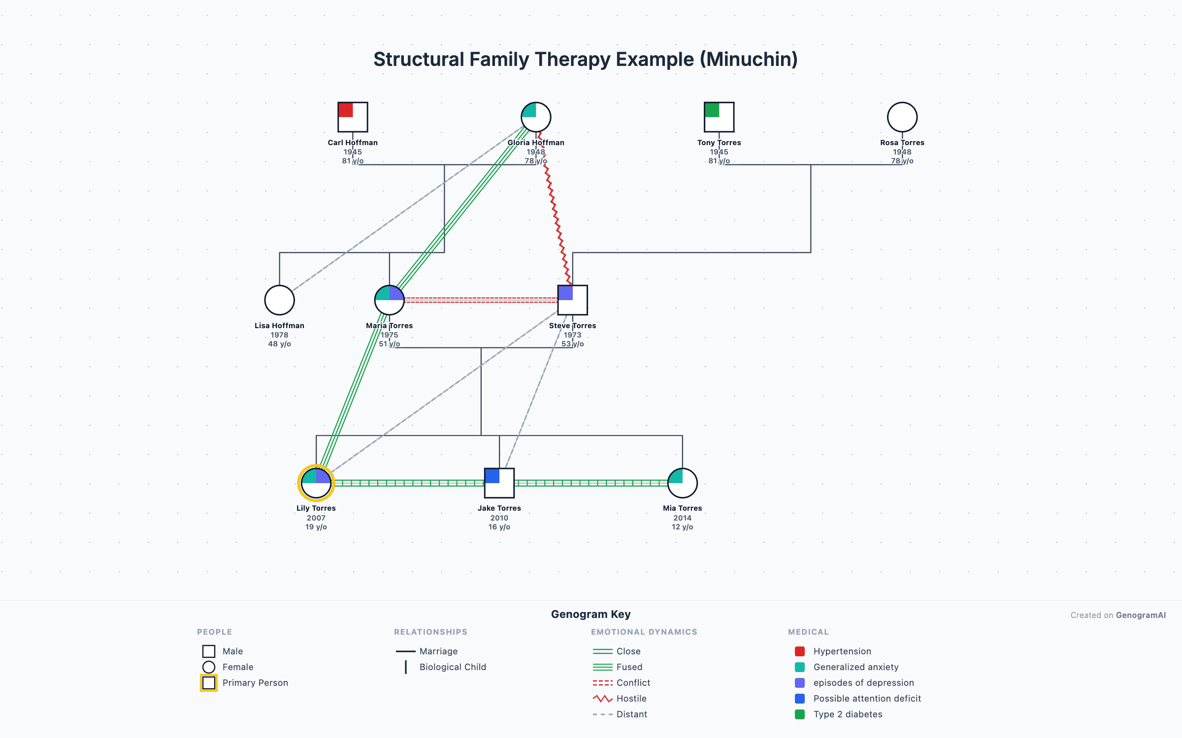 Structural Family Therapy Example (Minuchin) — Genogram Example Structural Family Therapy Example (Minuchin) genogram example showing family relationships, created with GenogramAI