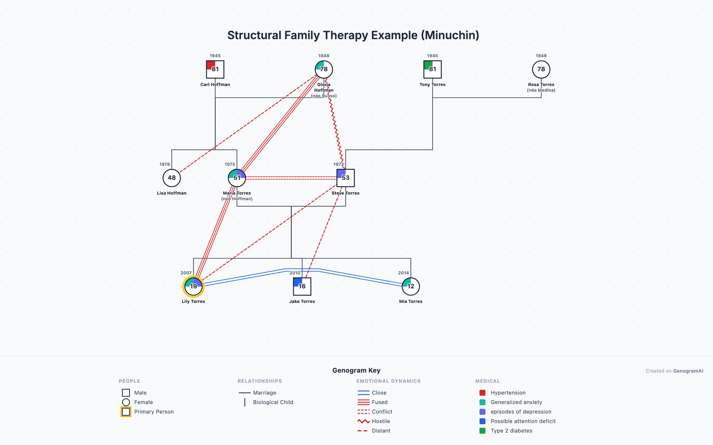 Structural Family Therapy Example (Minuchin) genogram example