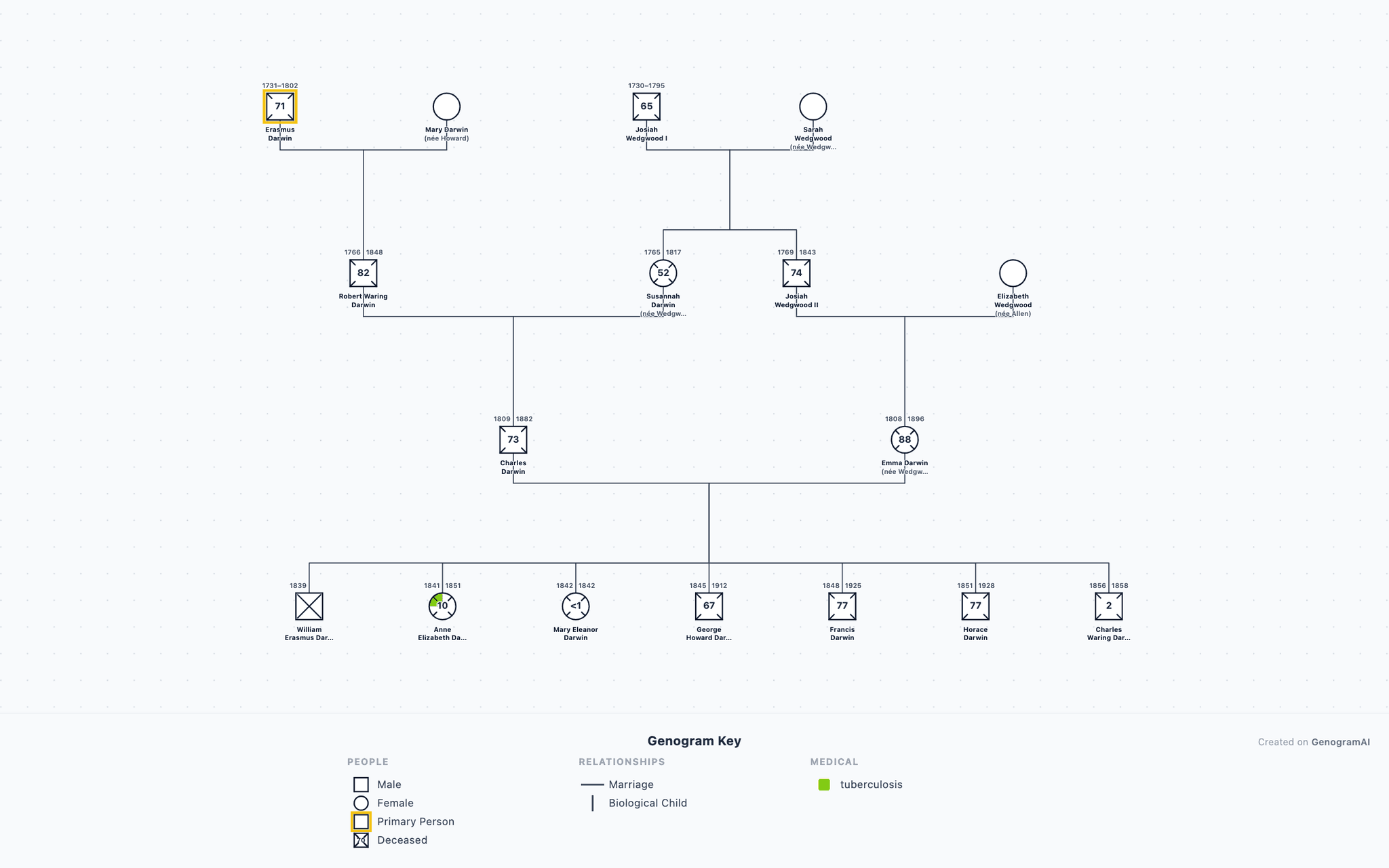 Darwin-Wedgwood Family Genogram example
