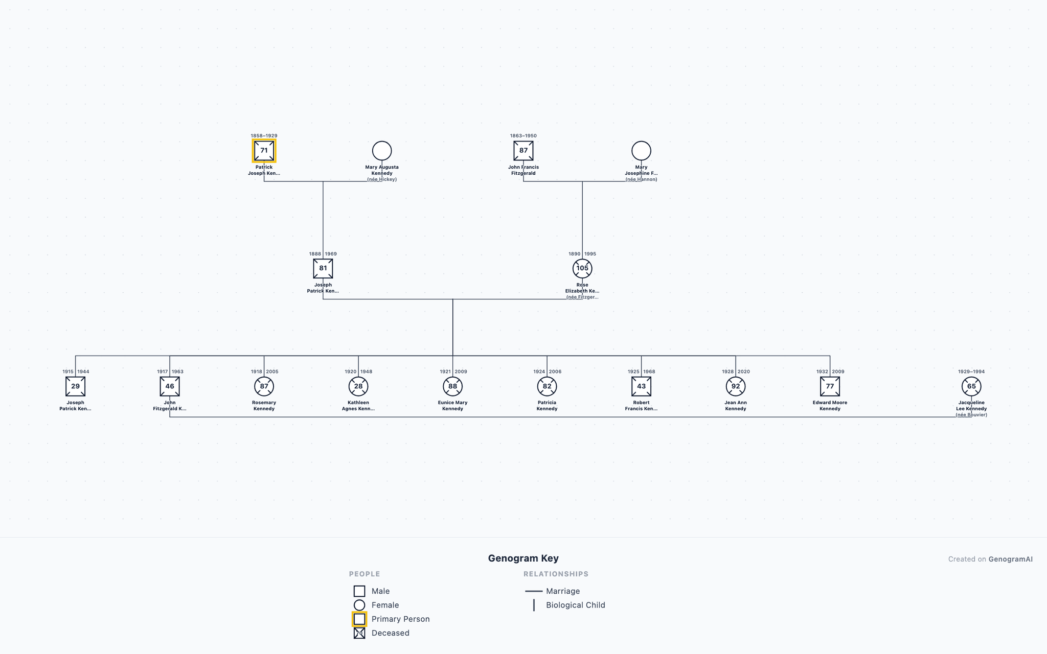 Kennedy Family Genogram example