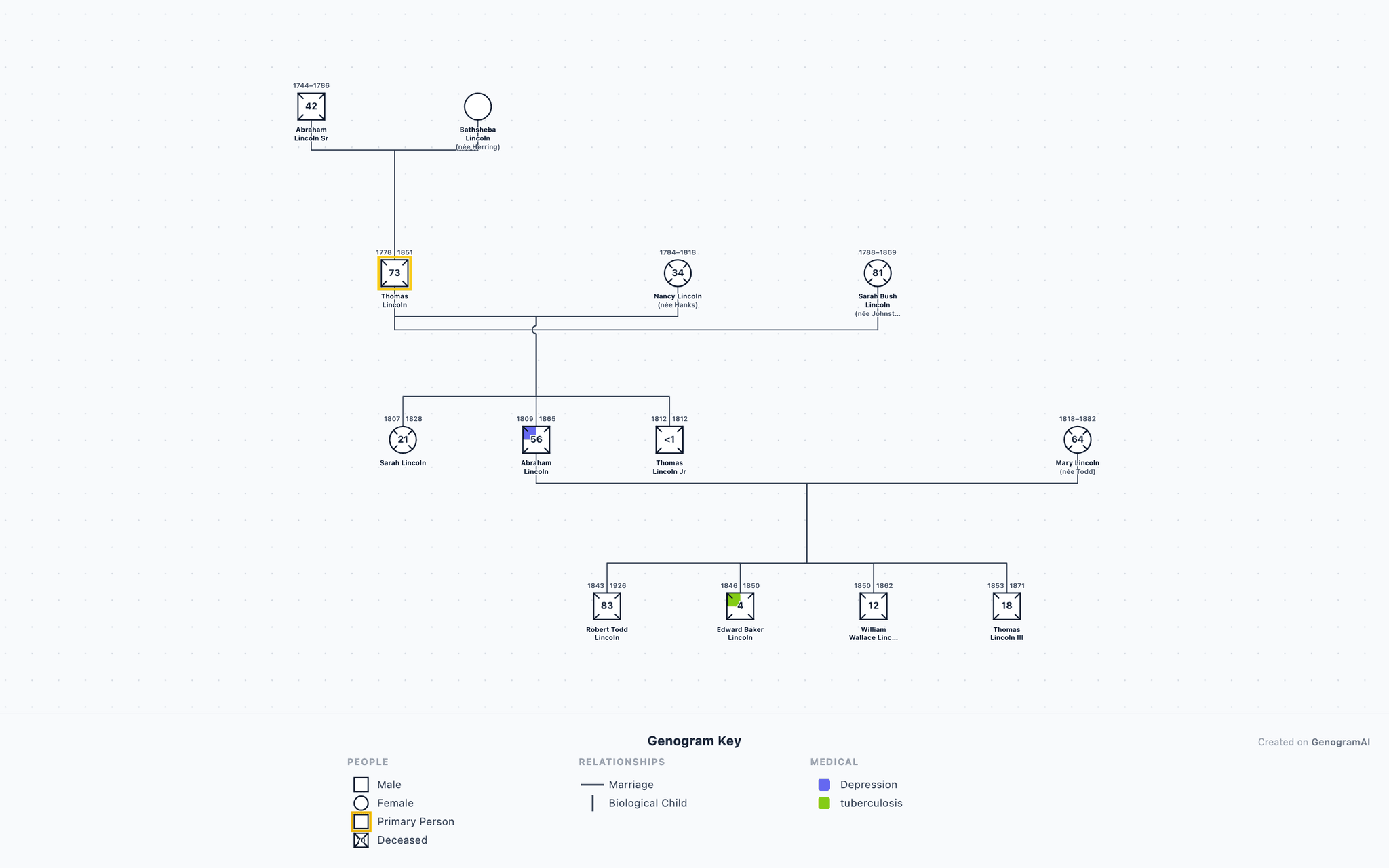 Abraham Lincoln Genogram example