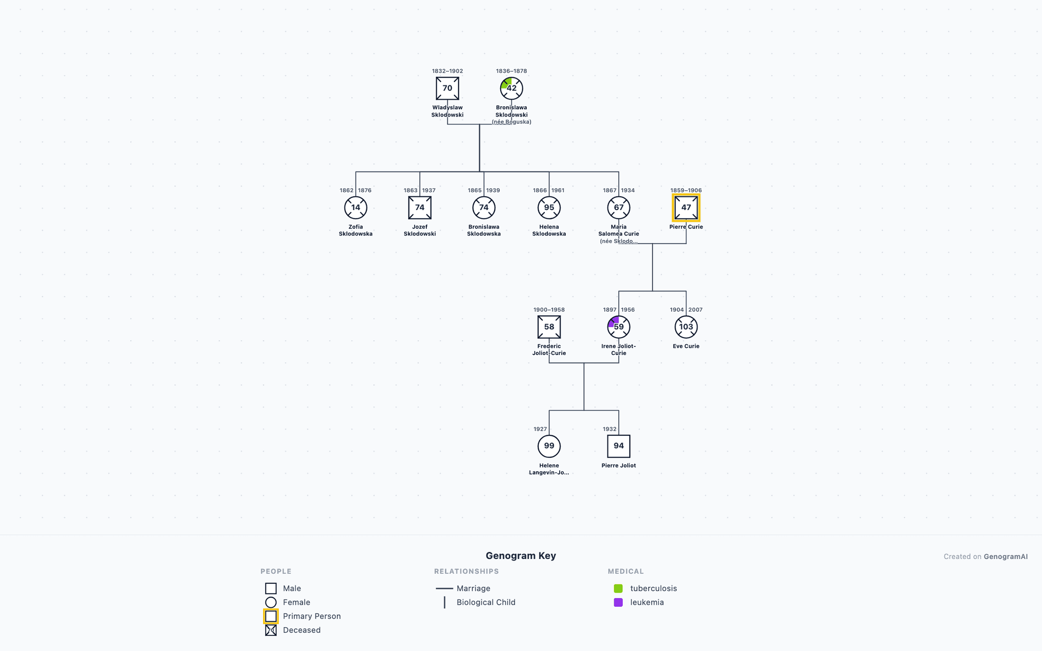 Marie Curie Genogram example