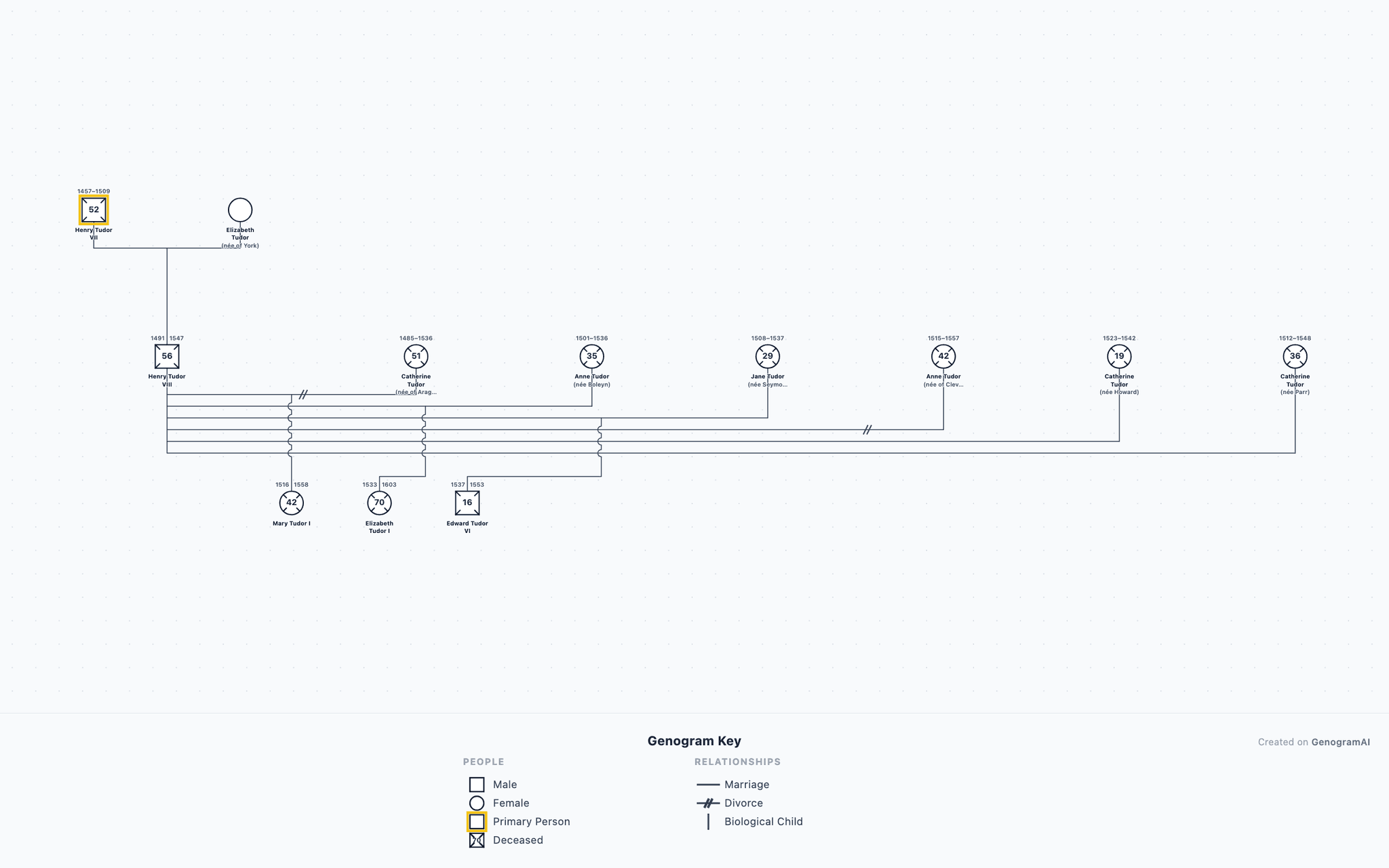 Henry VIII & His Six Wives Genogram example