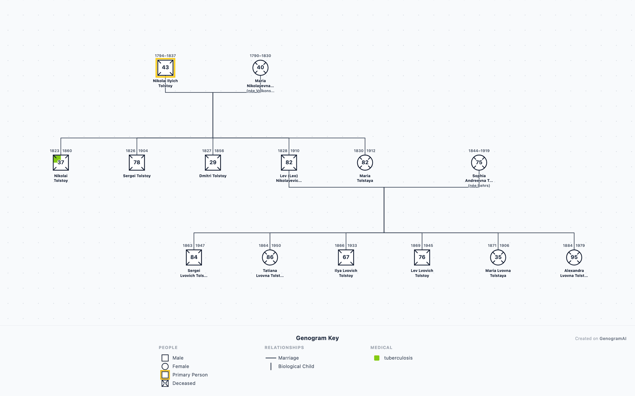 Tolstoy Family Genogram example