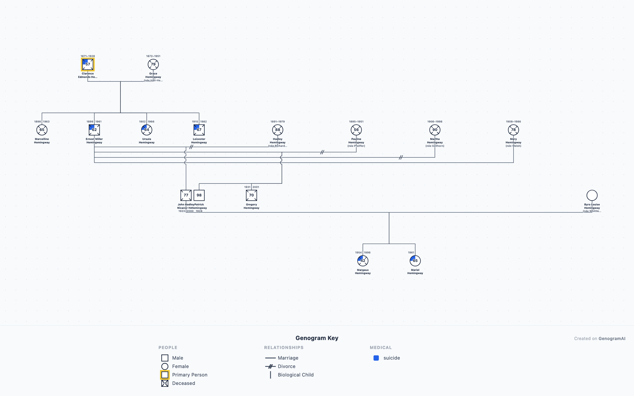 Hemingway Family Genogram example