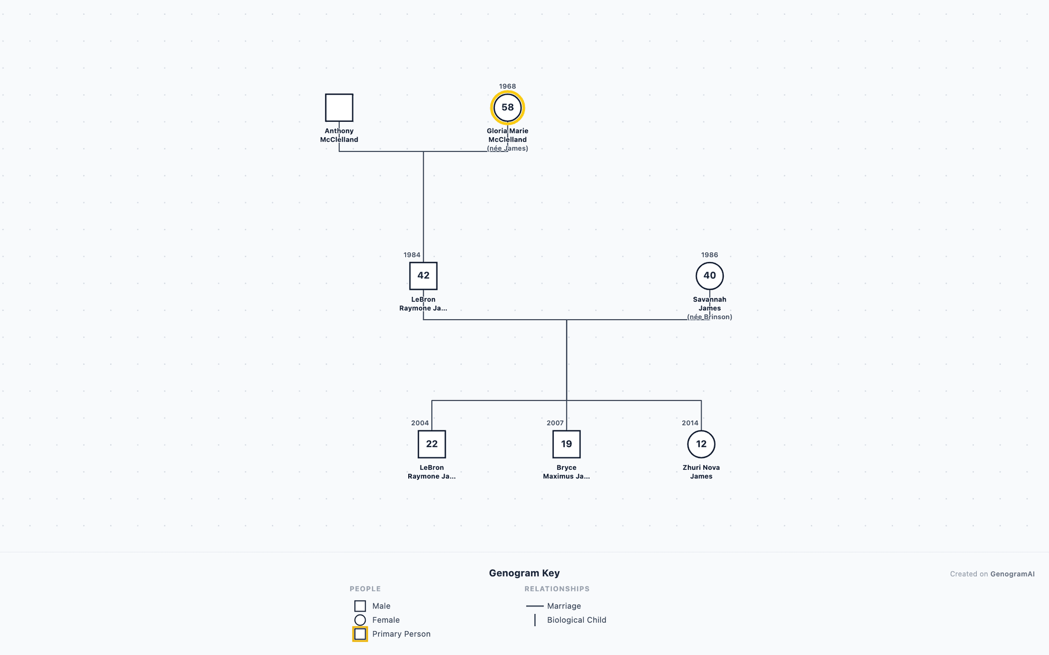Obama Genogram Lionel Messi Genogram | GenogramAI