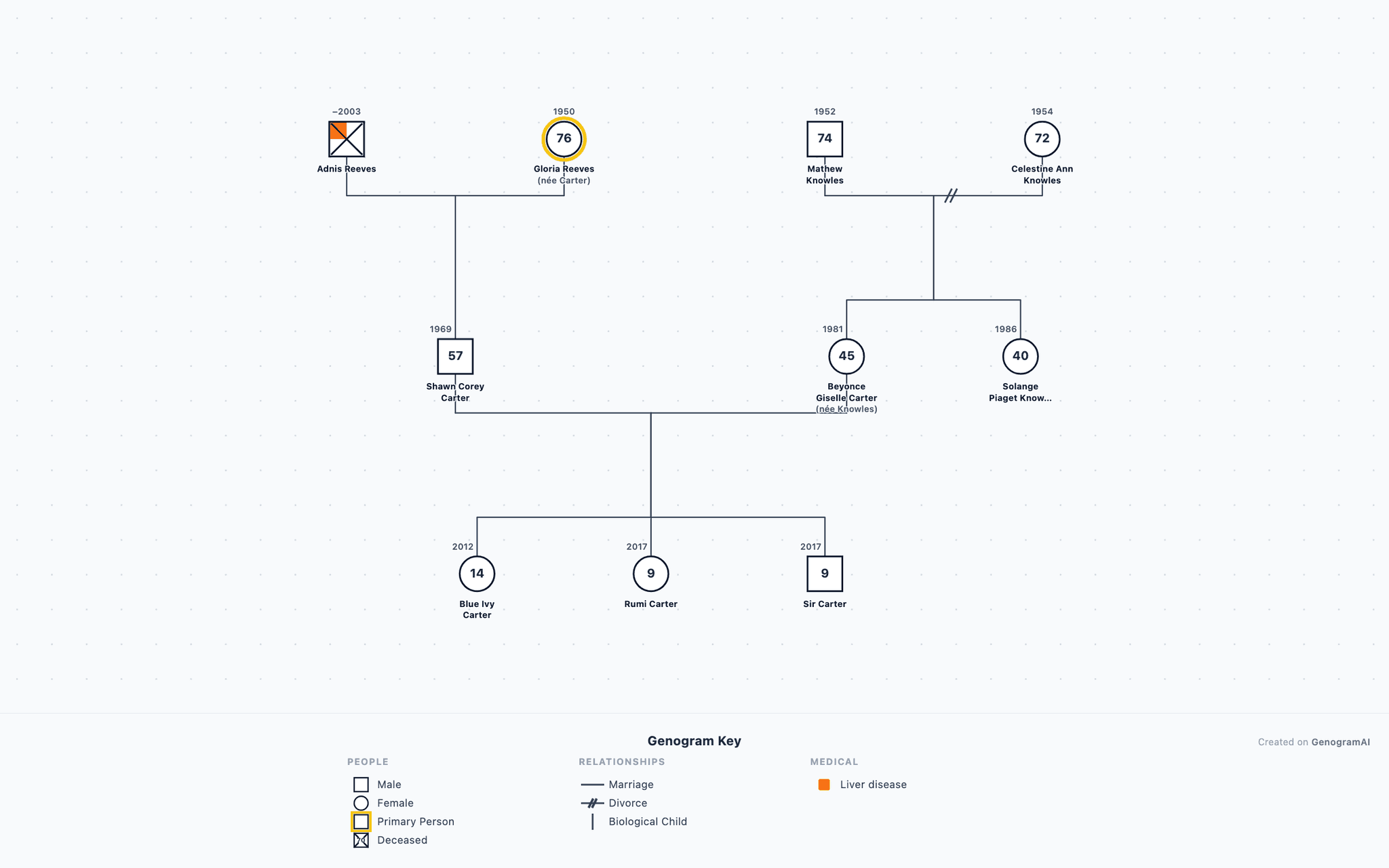 Jay-Z & Beyonce Genogram example