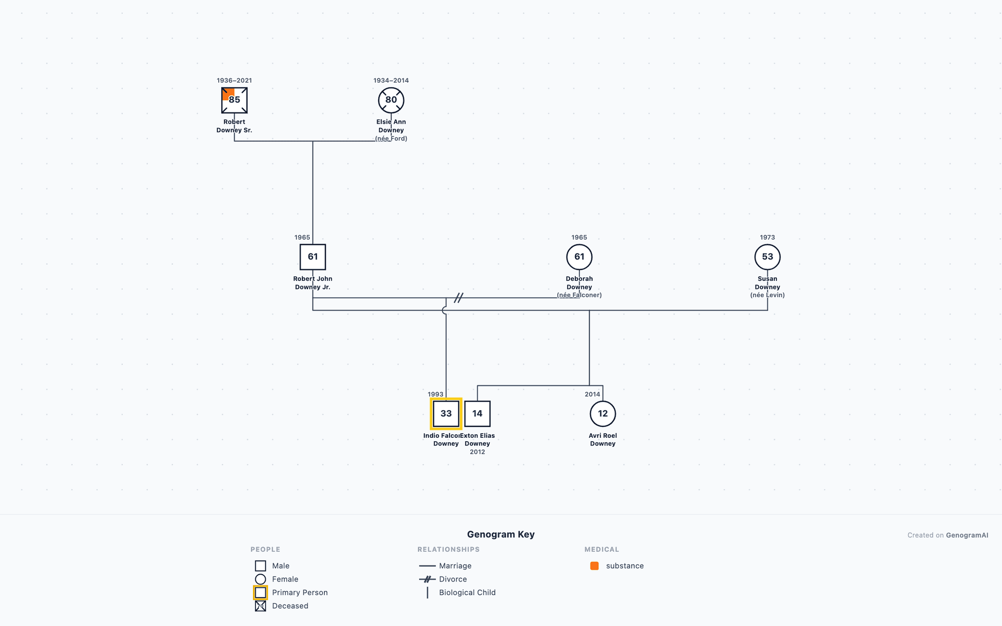 Robert Downey Jr. Genogram example
