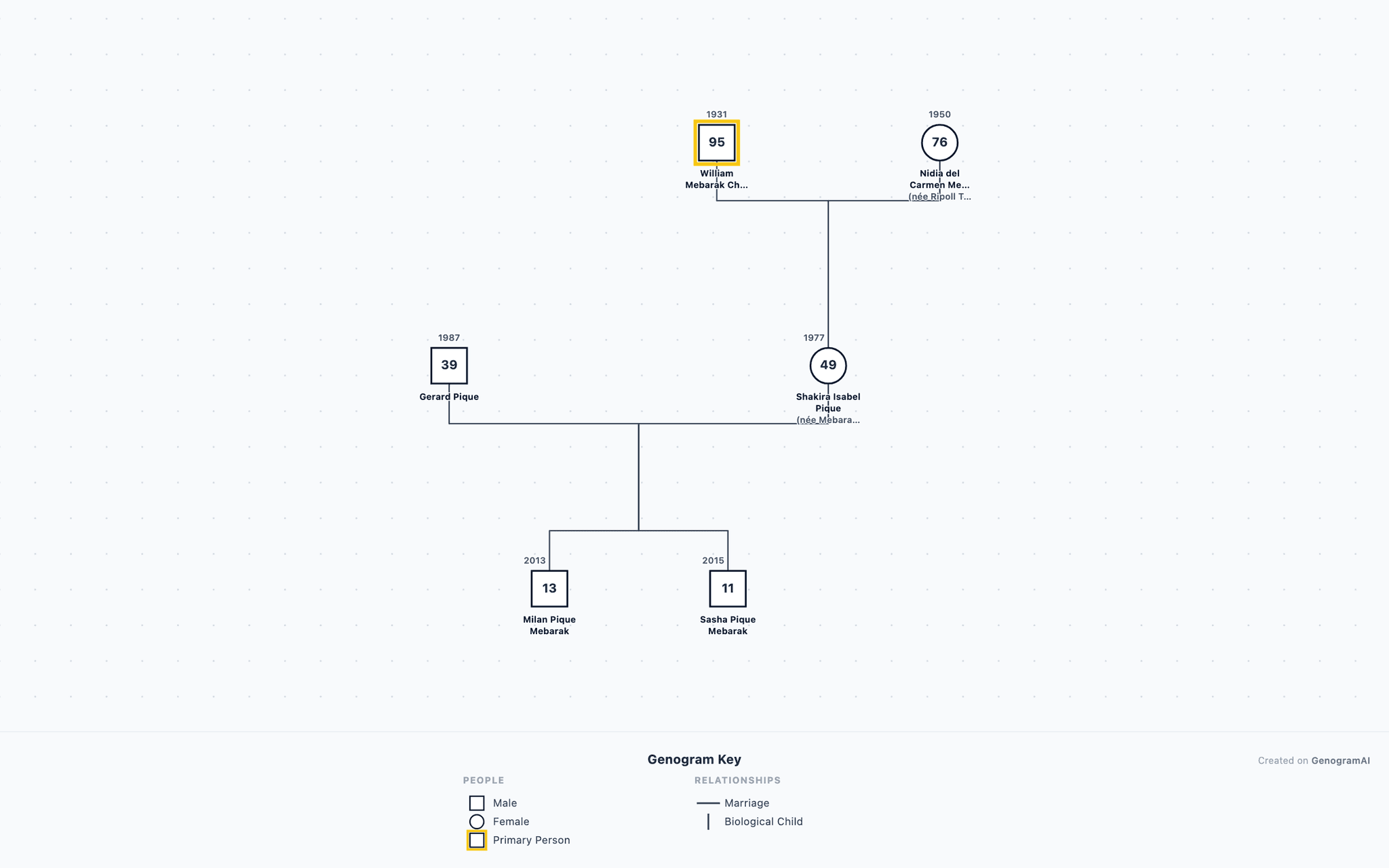 Shakira Genogram example