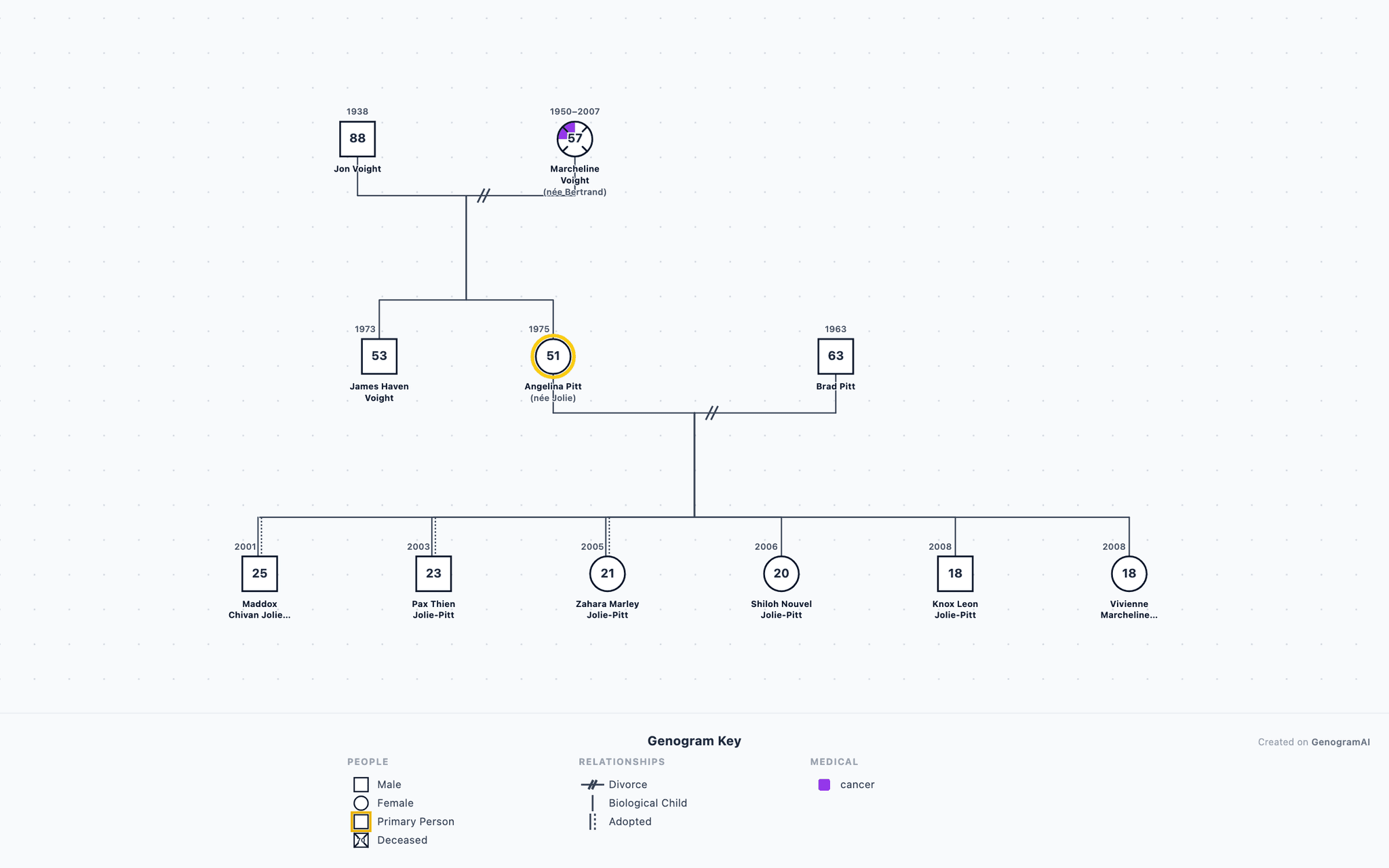 Angelina Jolie Genogram example