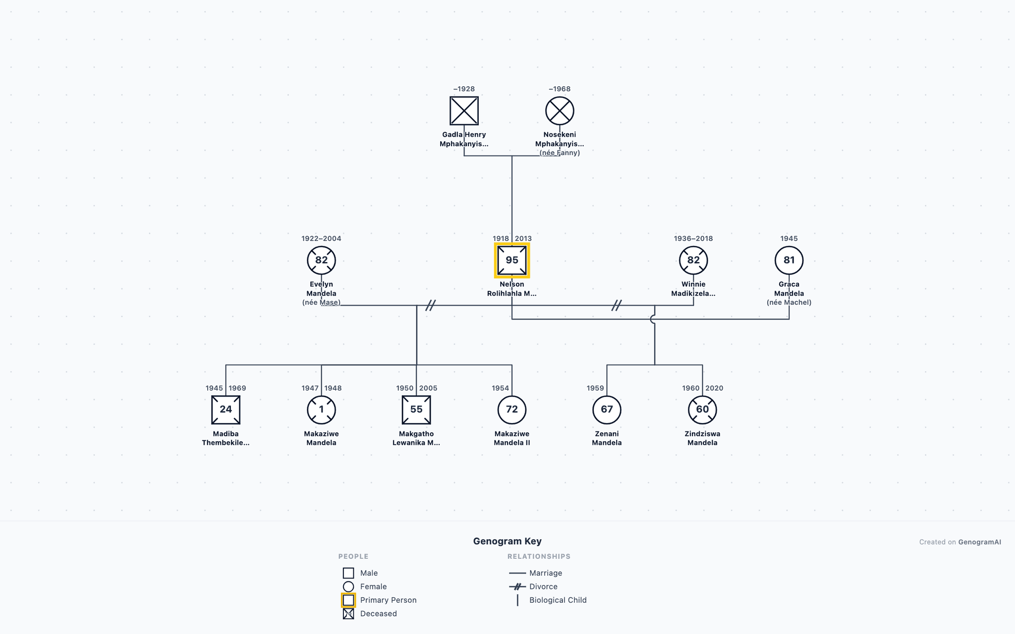 Nelson Mandela Genogram example