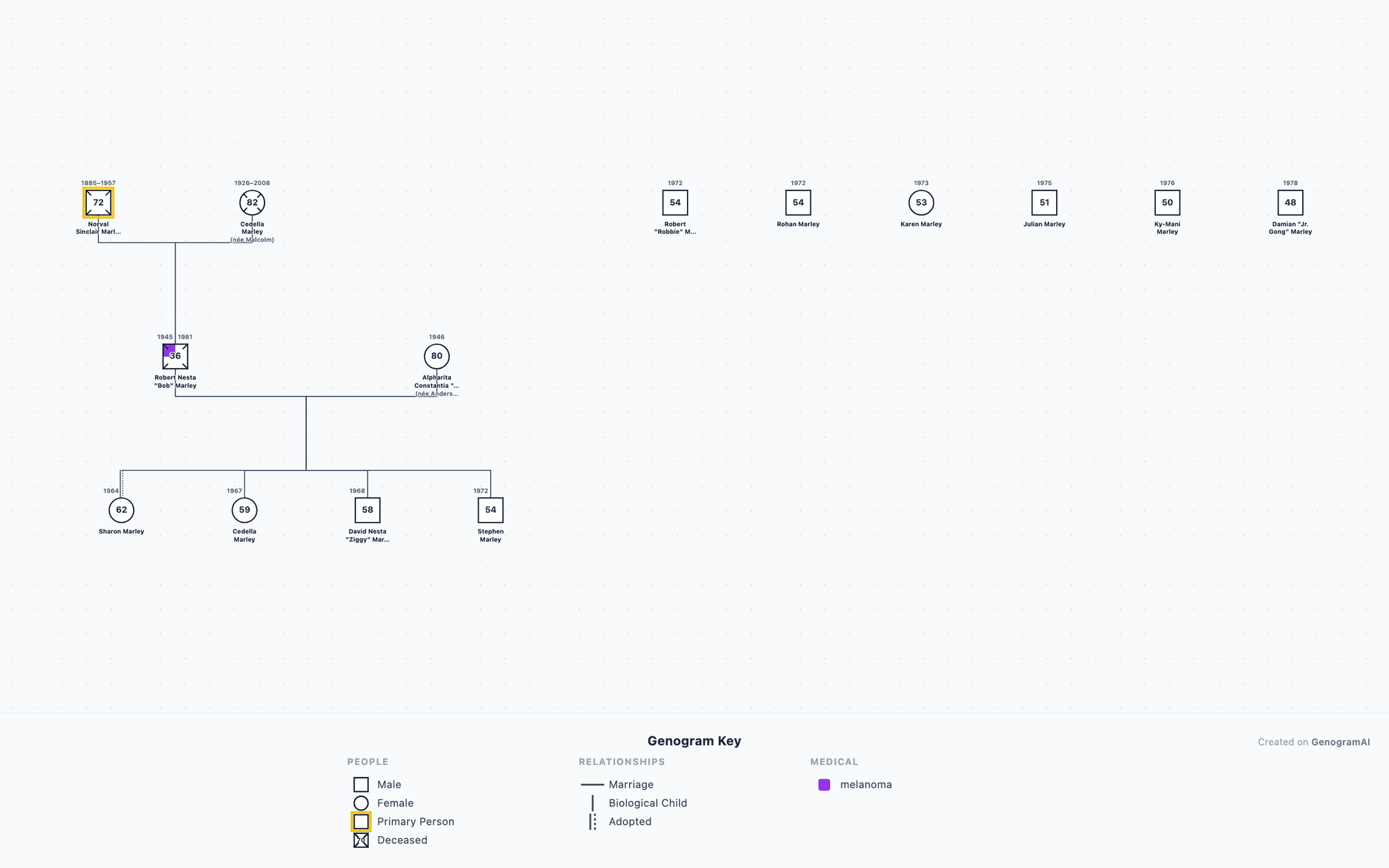 Marley Family Genogram example