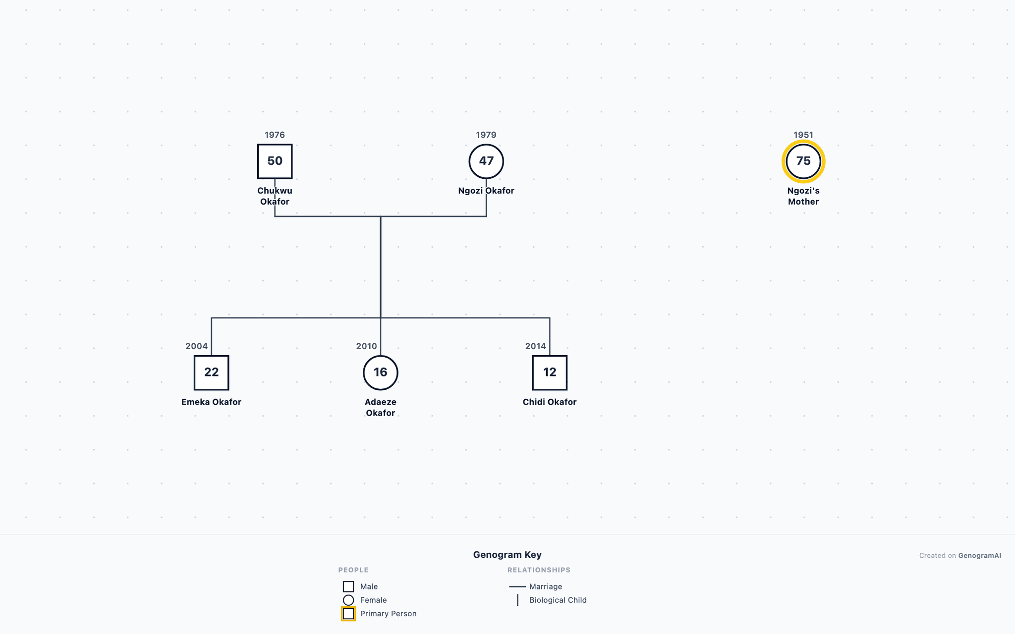 Okafor Family Genogram example