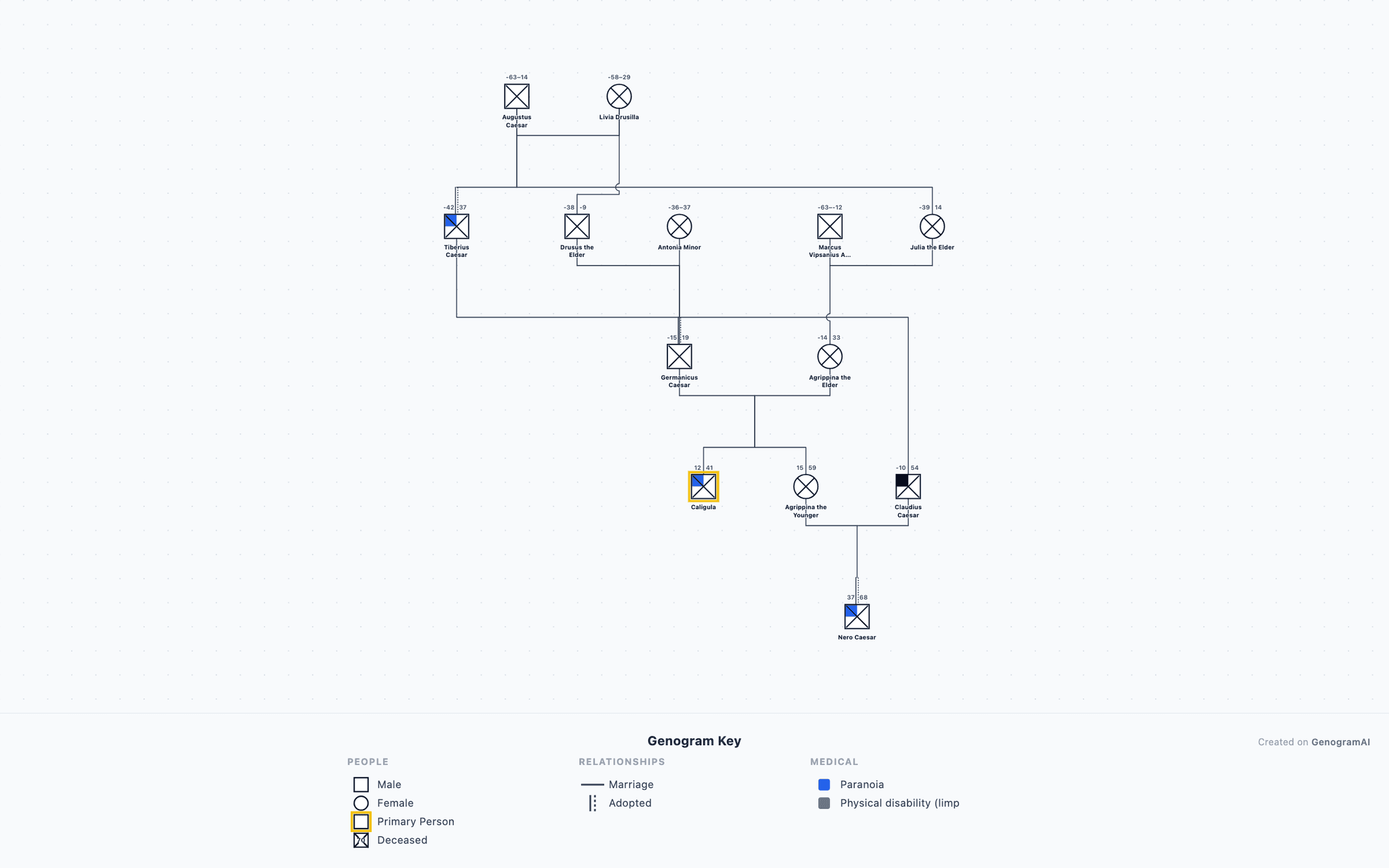Julio-Claudian Dynasty Genogram example