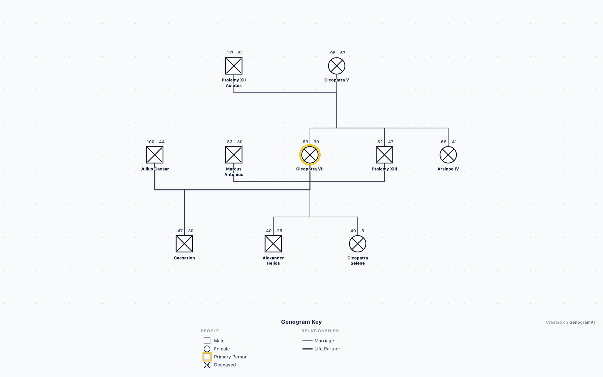 Ptolemaic Dynasty & Cleopatra Genogram example