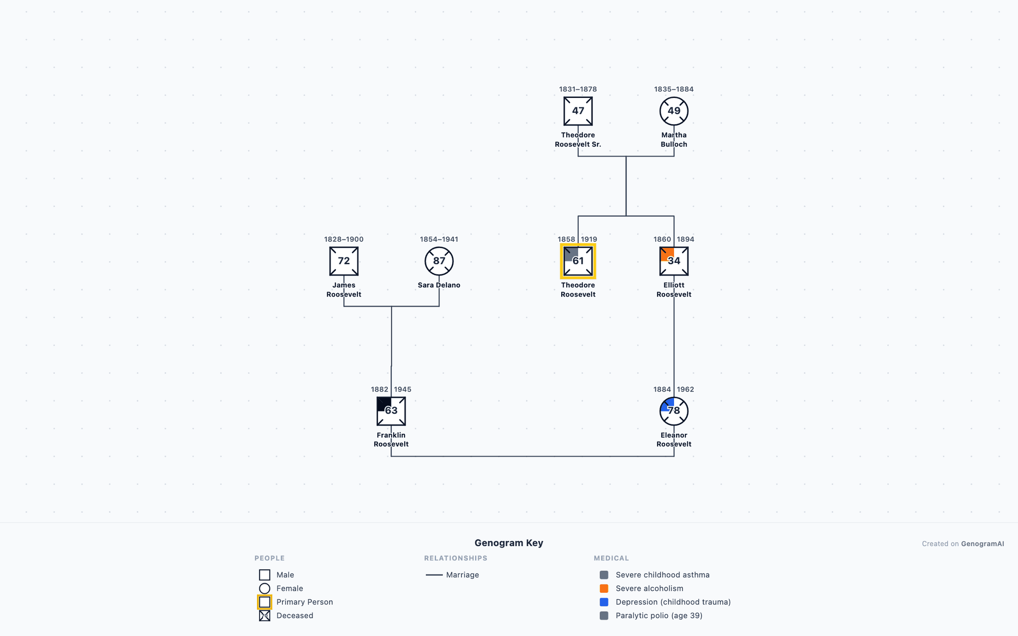 Roosevelt Family Genogram example