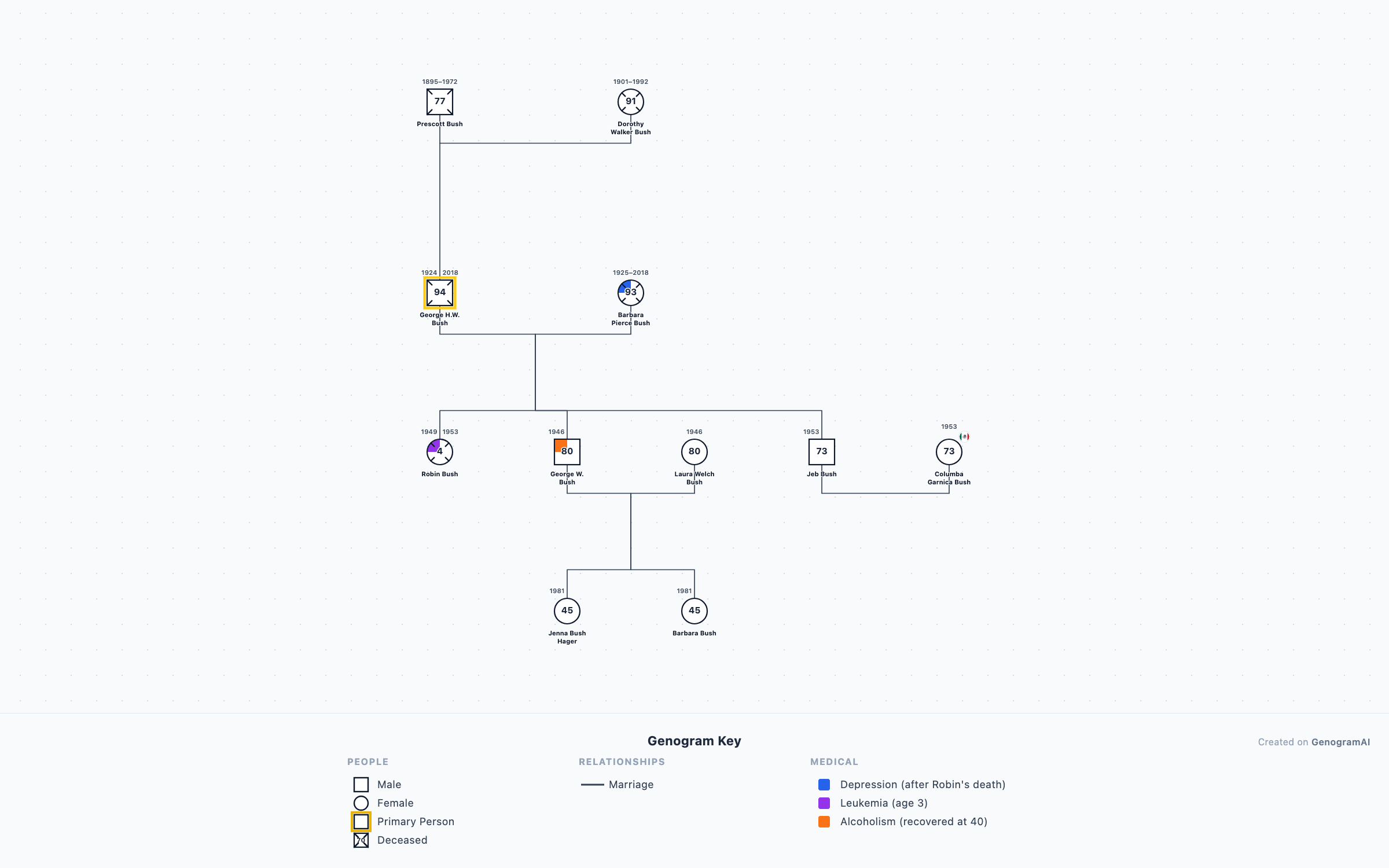 Bush Political Dynasty Genogram example