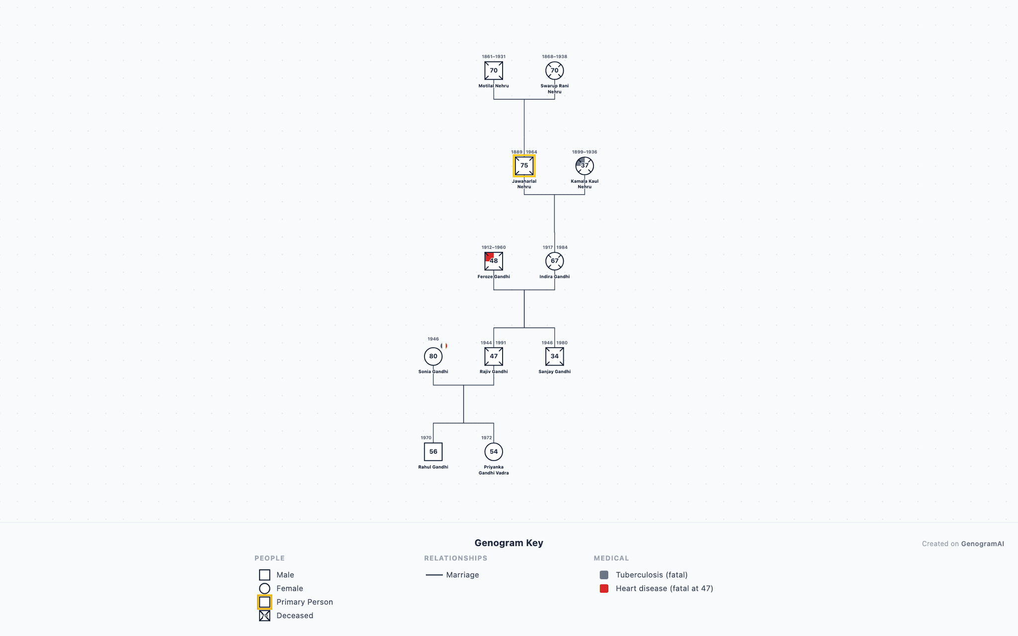 Nehru-Gandhi Political Dynasty Genogram example