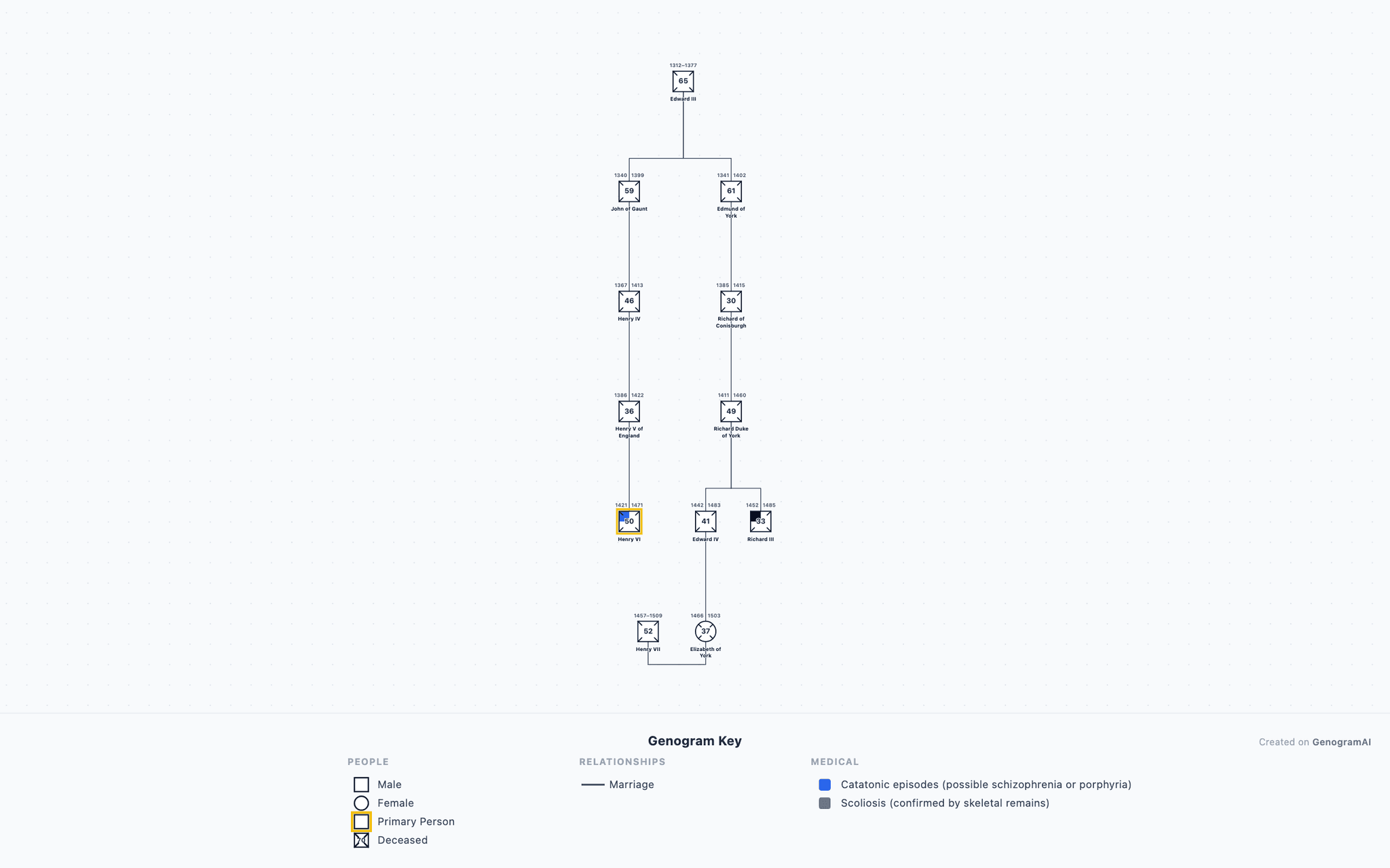 Plantagenet Wars of the Roses Genogram example