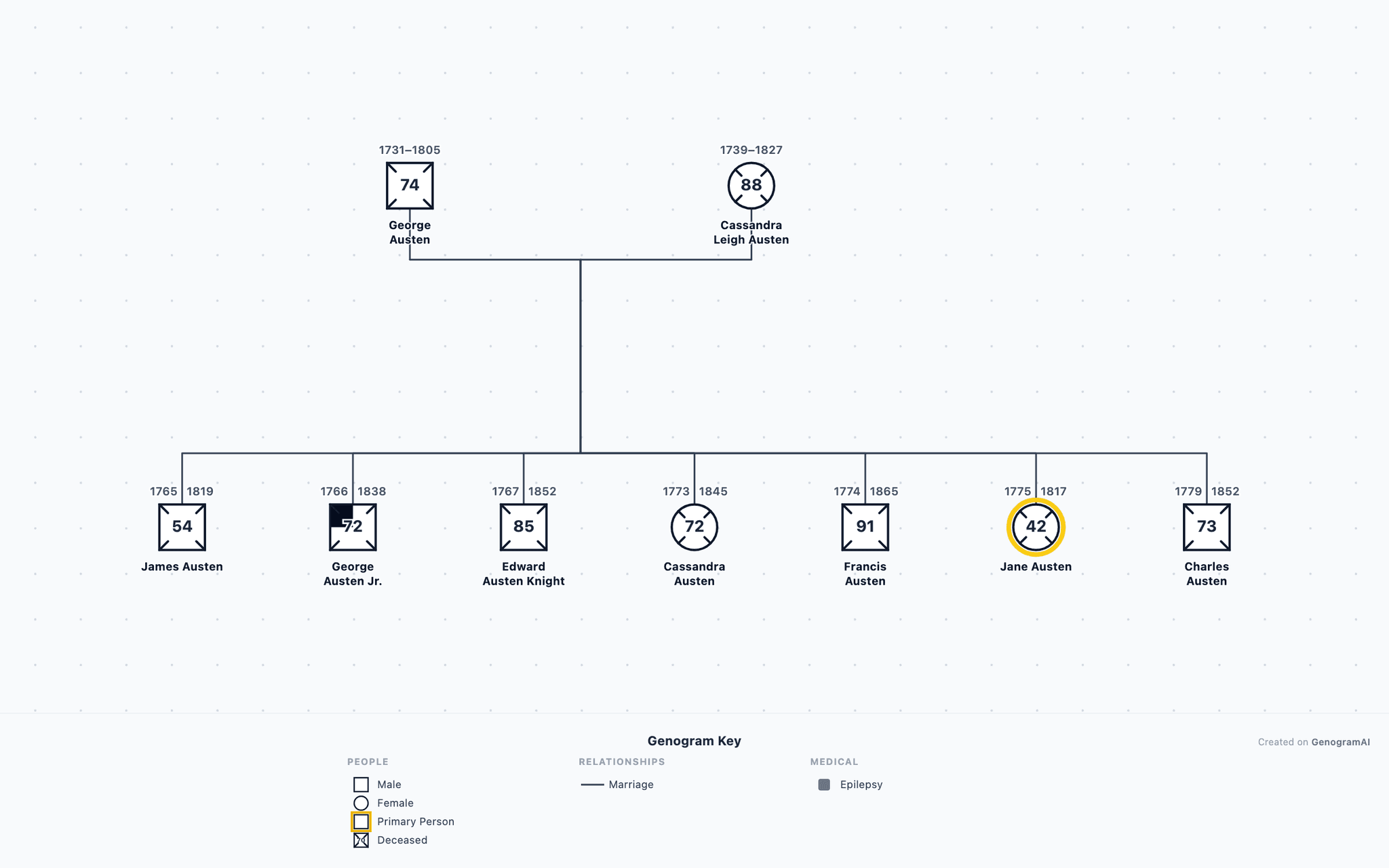 Jane Austen Family Genogram example