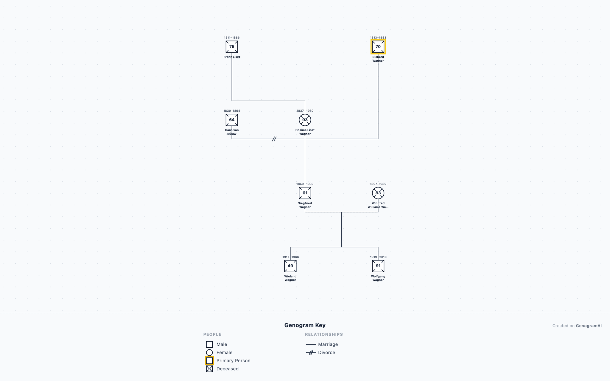 Wagner-Liszt Musical Dynasty Genogram example