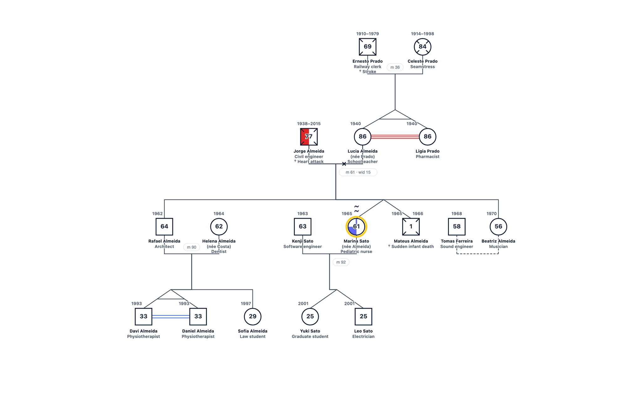 Twins Across Four Generations genogram example